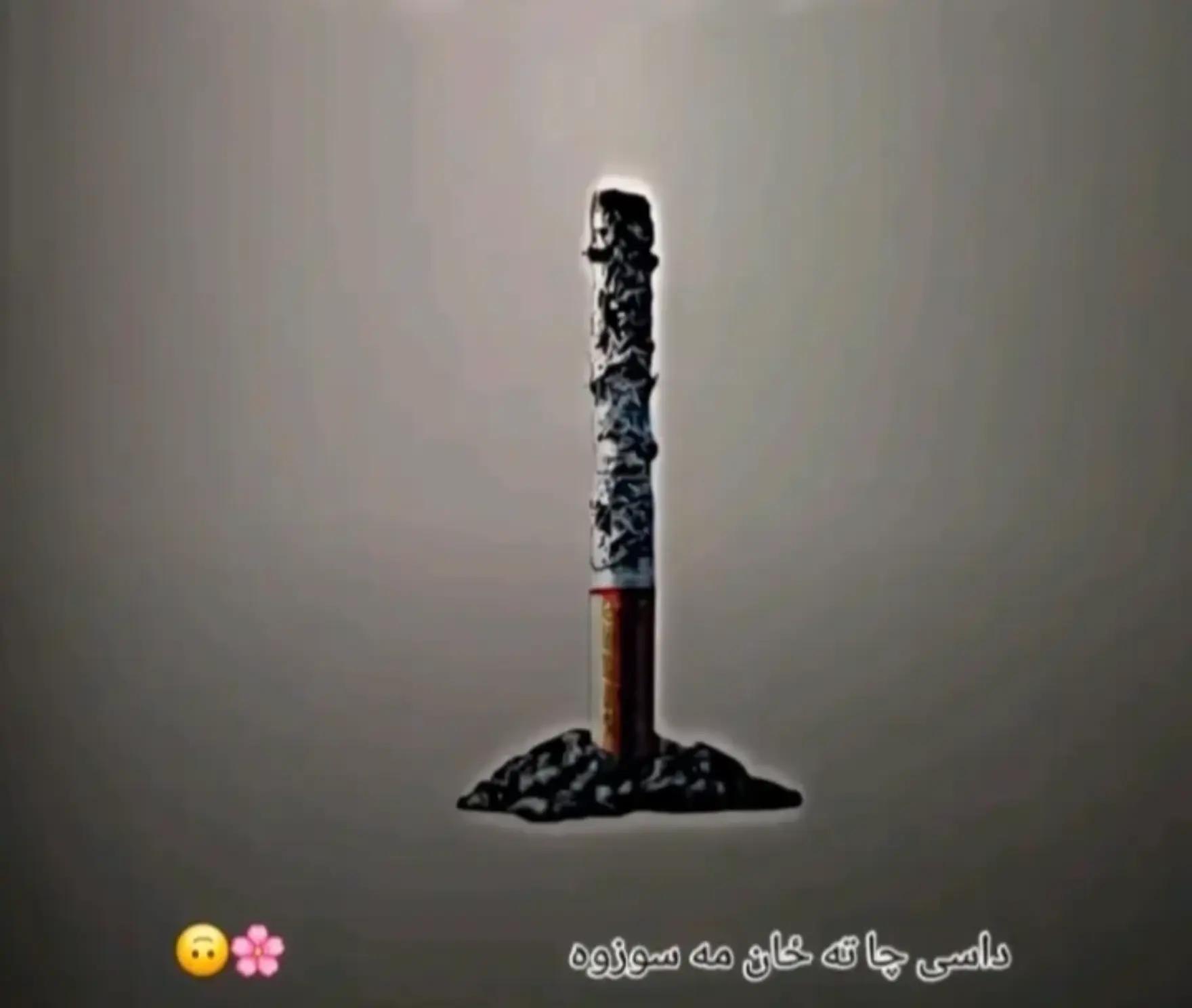 @▄︻デ 𝑅𝒶𝒿𝒶 𝒷𝓌𝓅🚬 ═━一