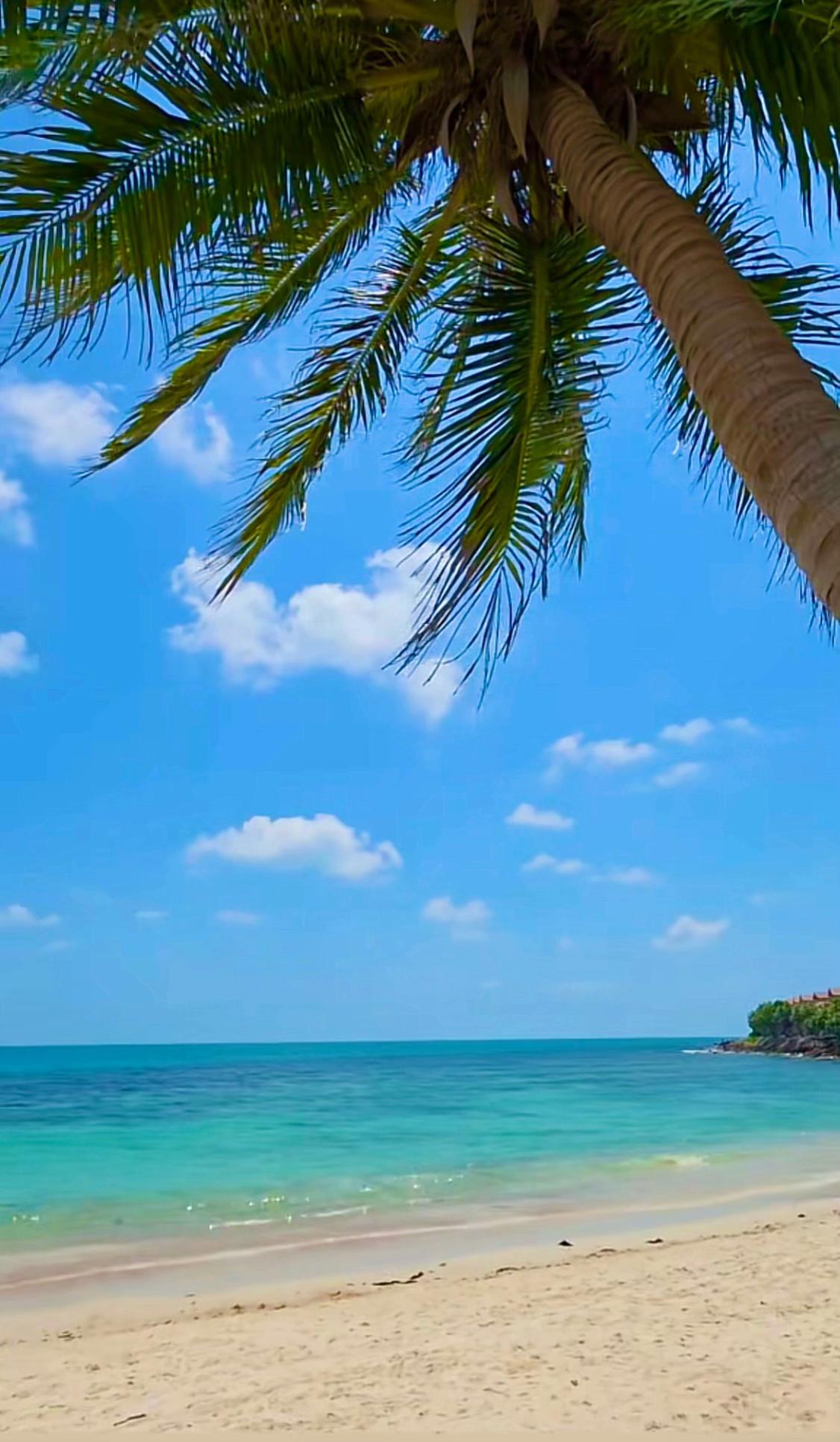 @🏝️ Magical Island Samui 🌴🍹