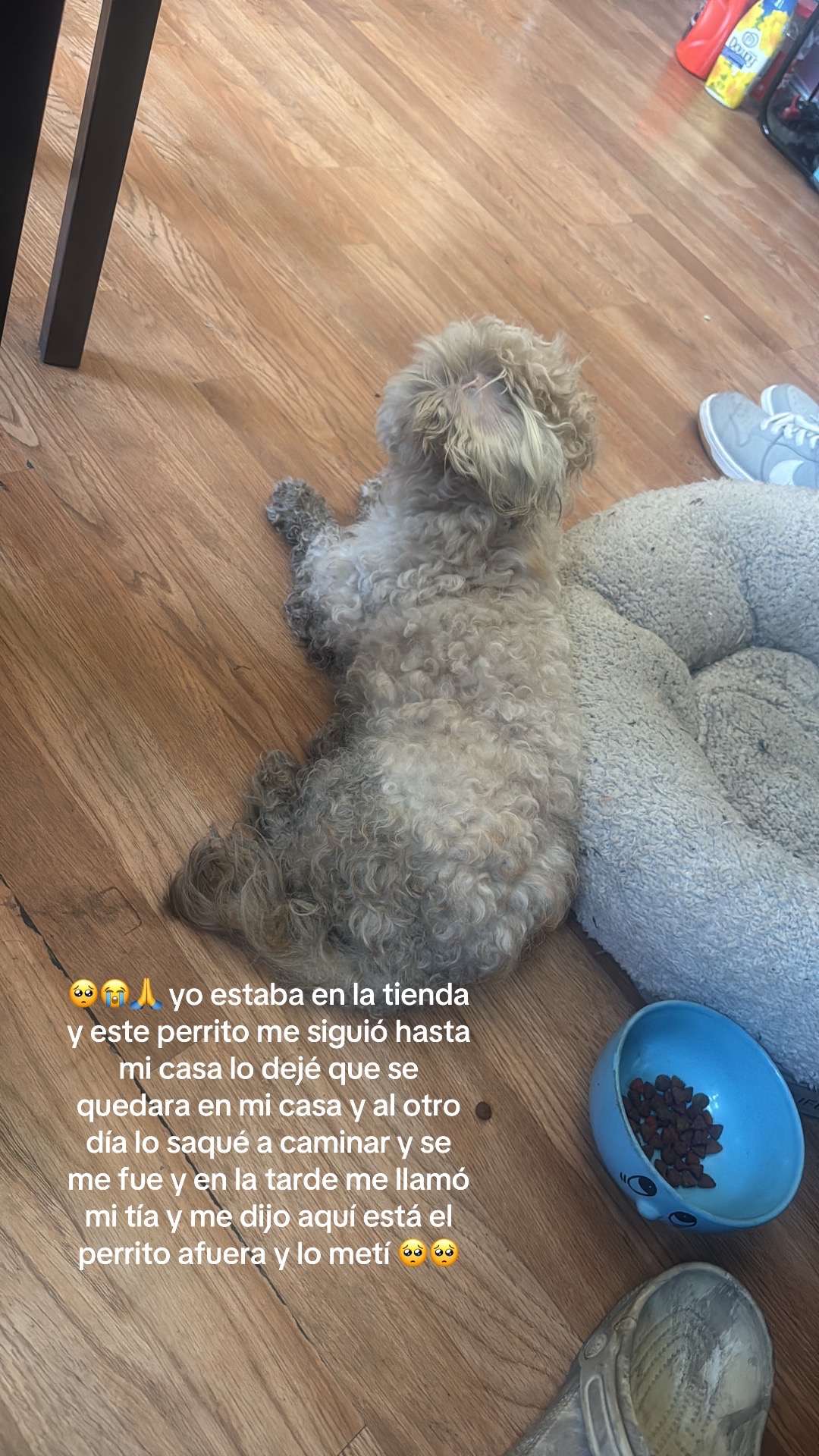 @noticiero562