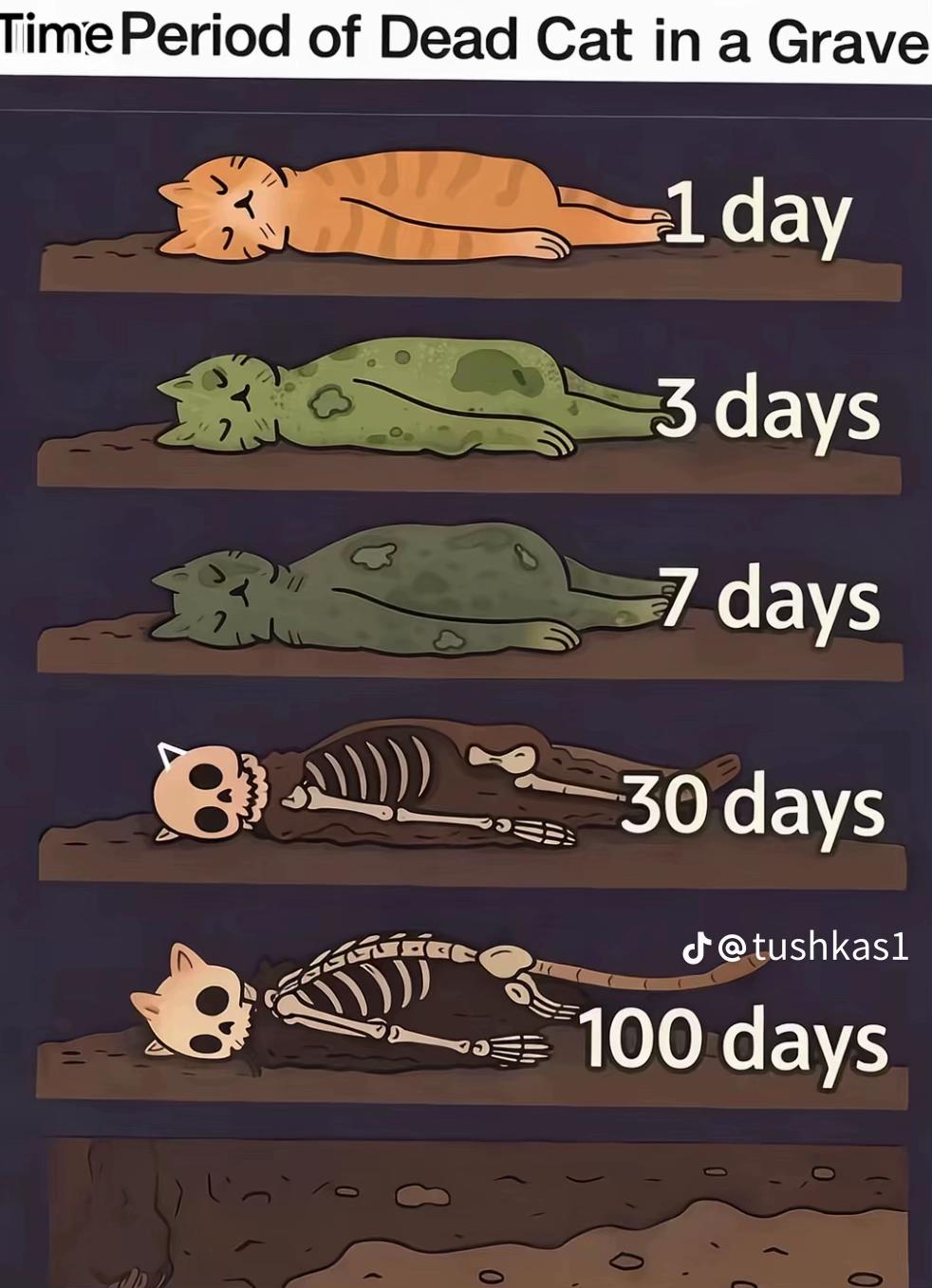 @Милова⚜️