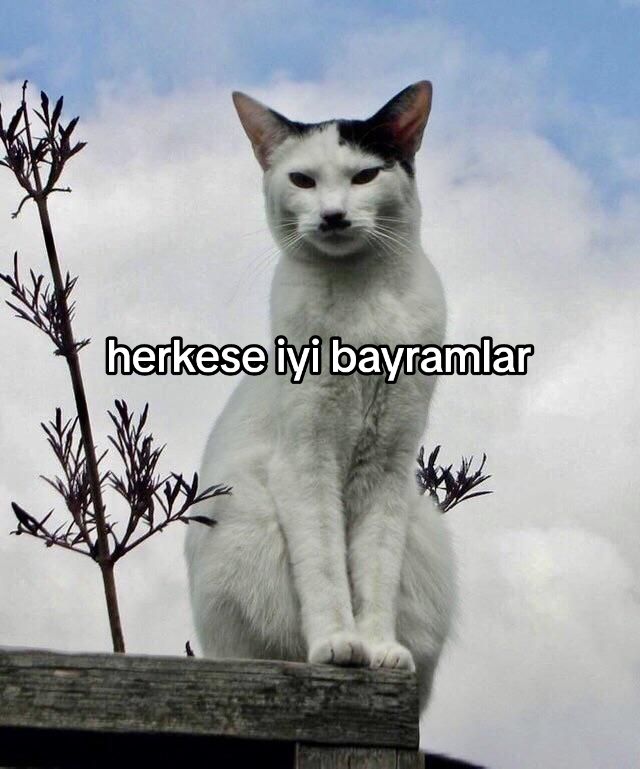@.∞.