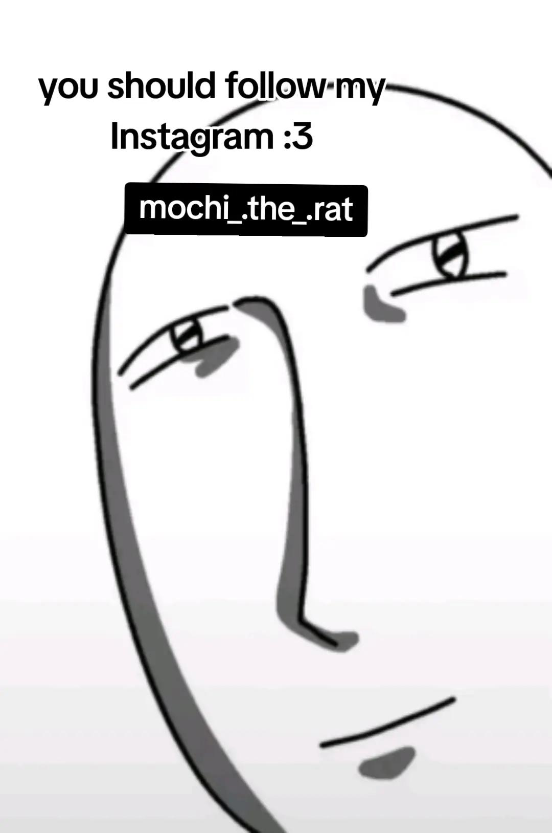 @Mochi_The_Rat