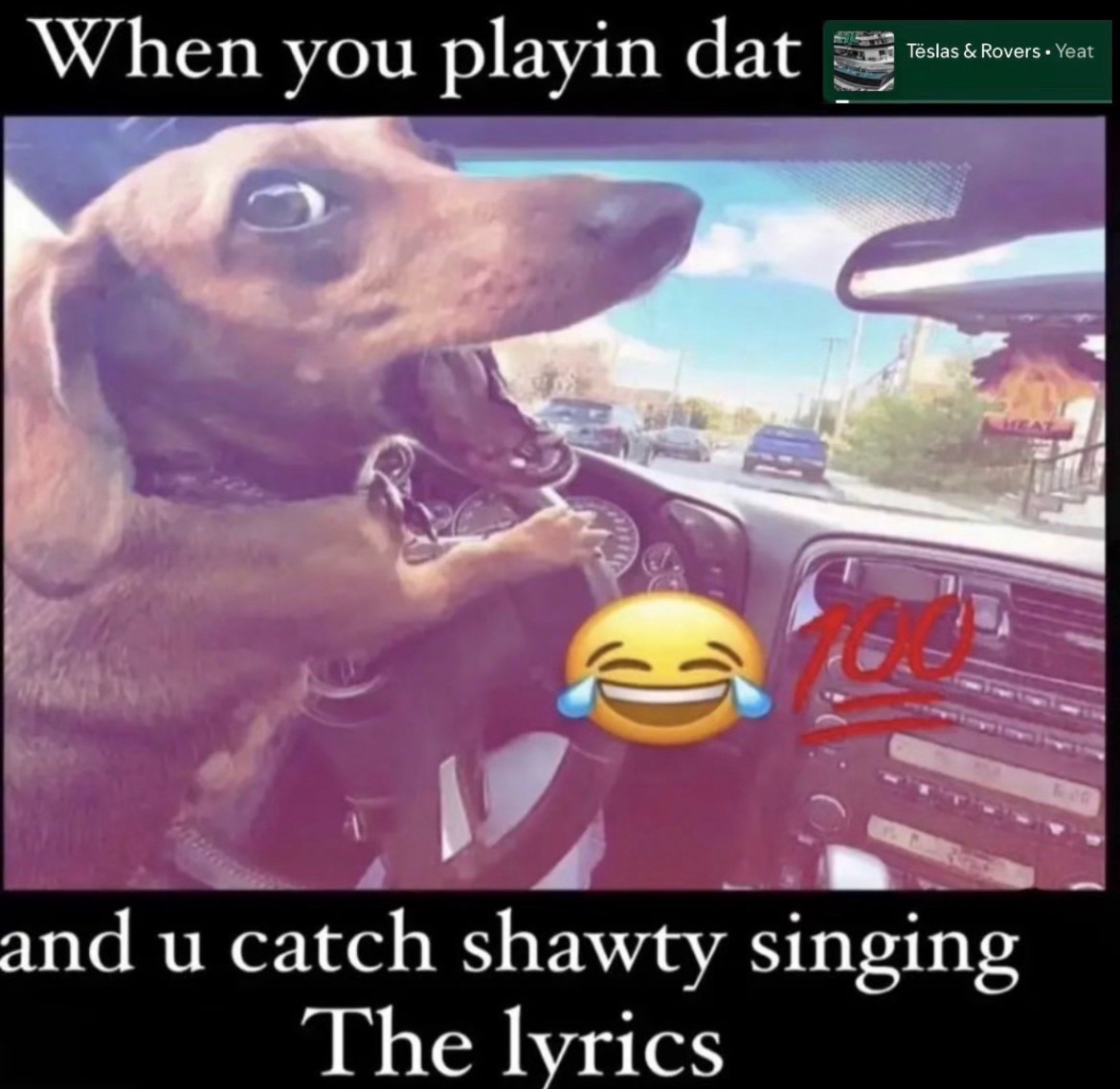 @Thewokeyoke