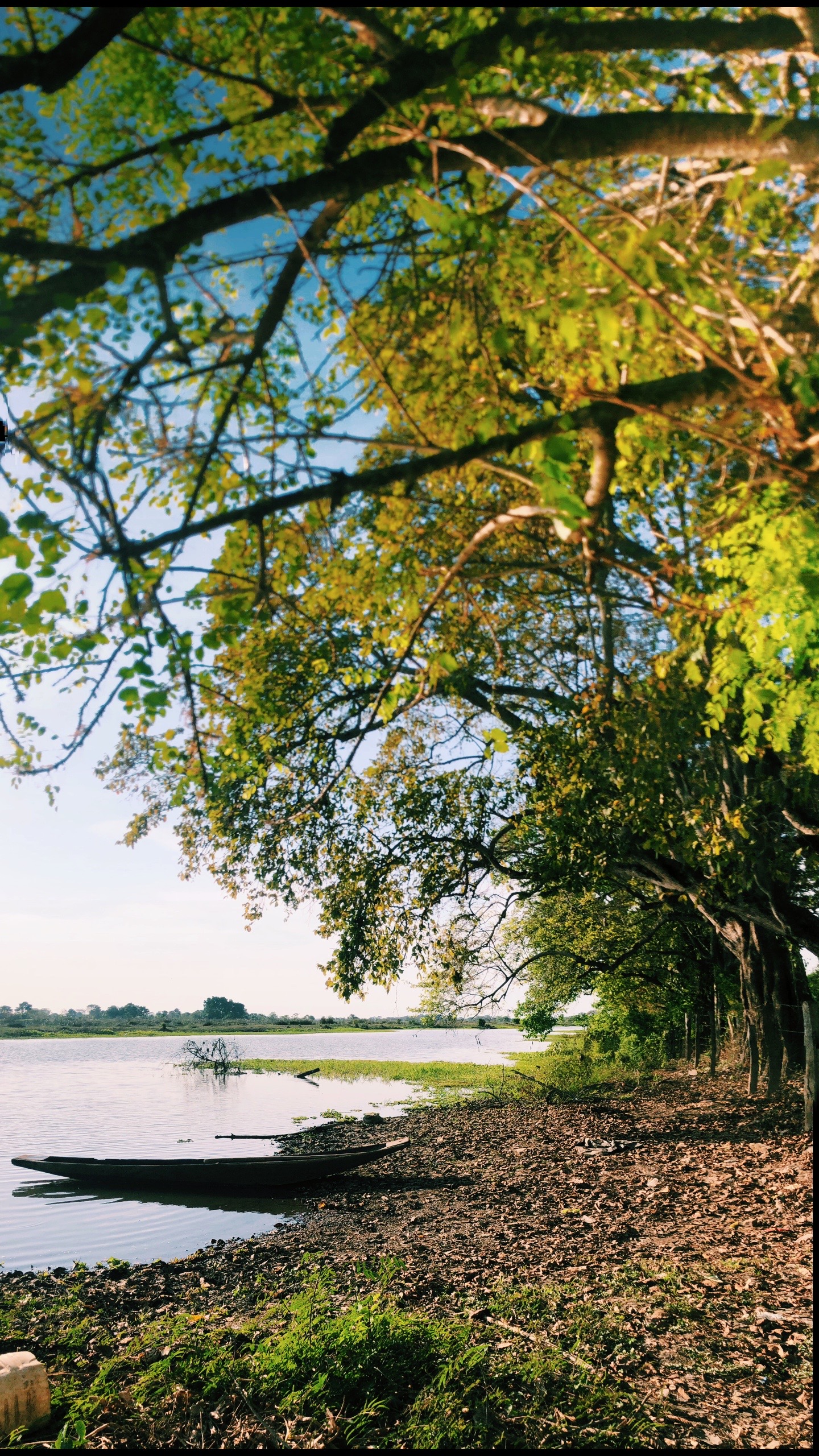 Julieth Díaz (@juliethdiazp) - Urlebird