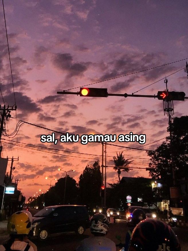 @˚˖𓍢ִִ໋🌊🦈˚˖𓍢ִ✧˚