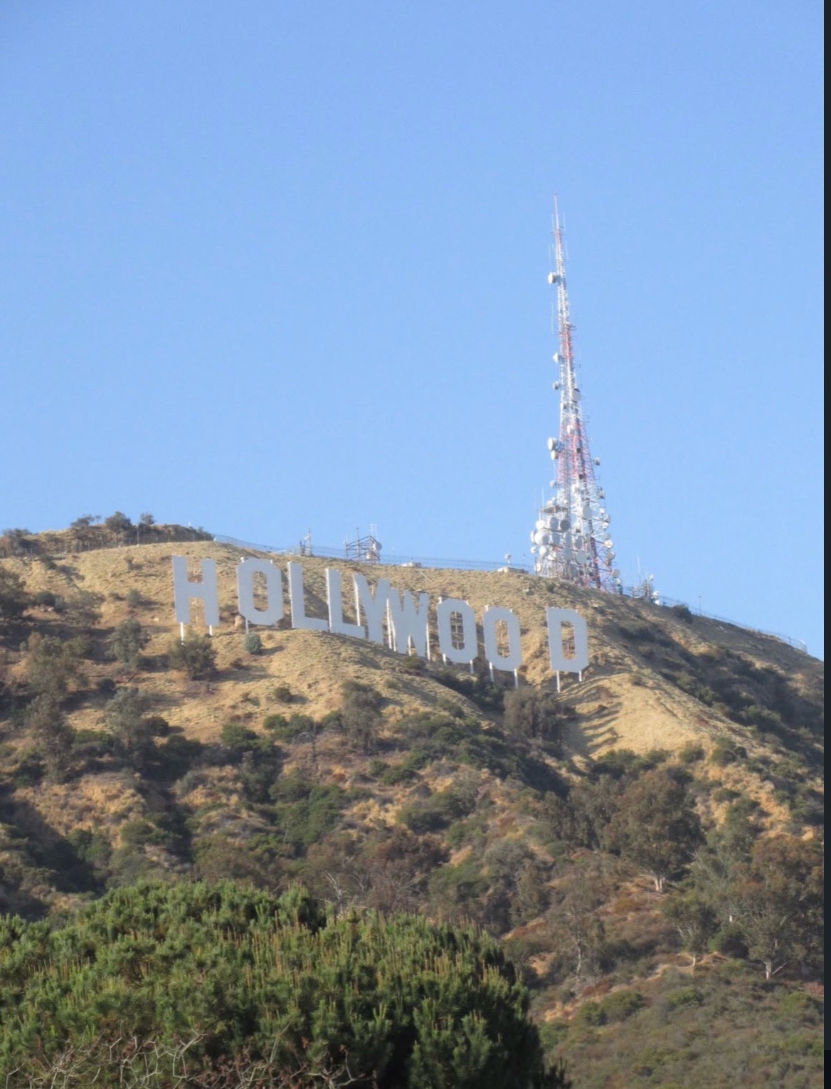 @Amari 🪽