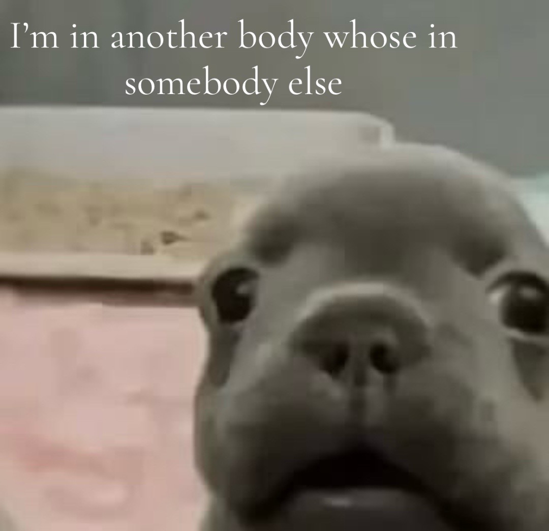 @Olivia