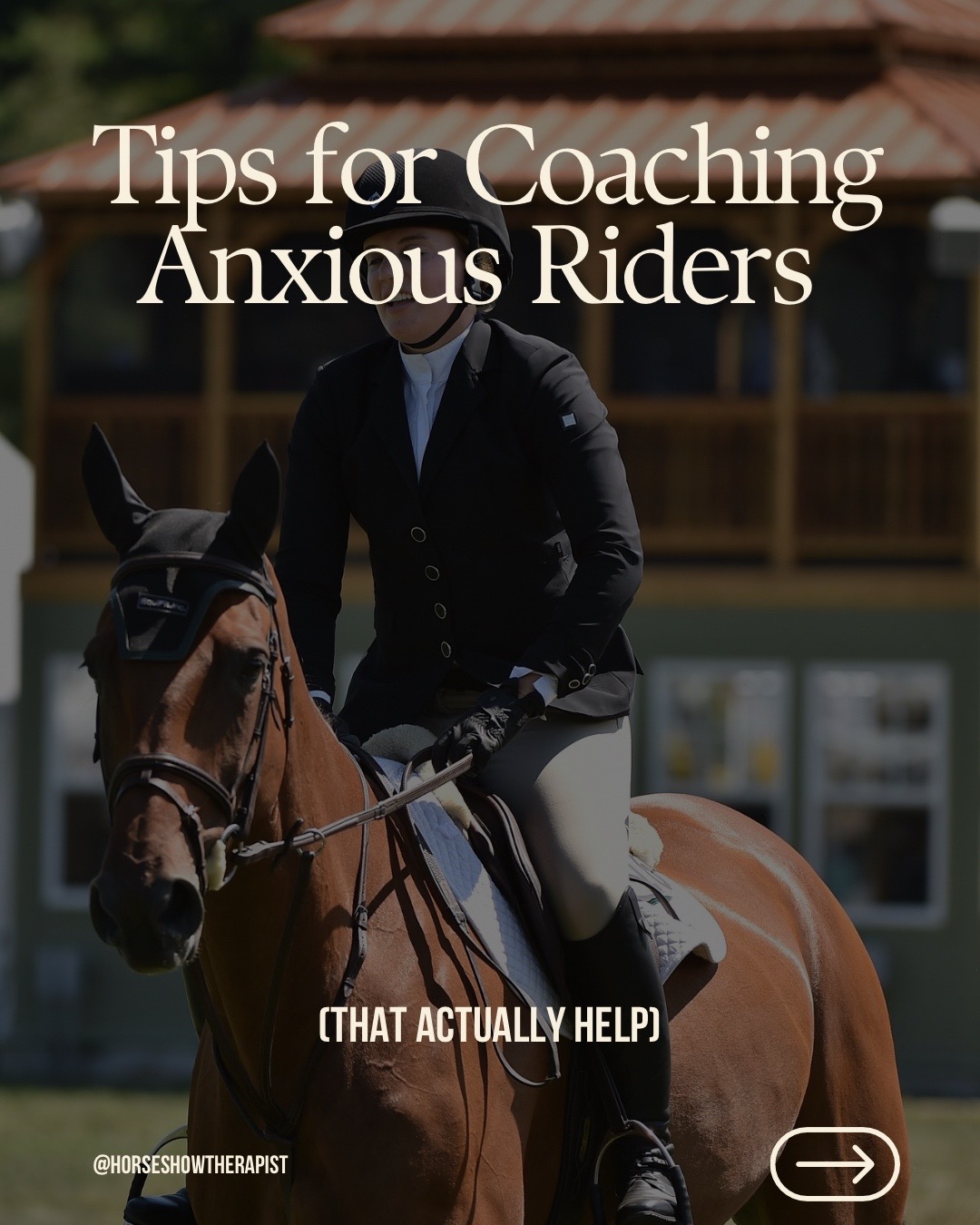 @Dr. J | Horse Show Therapist