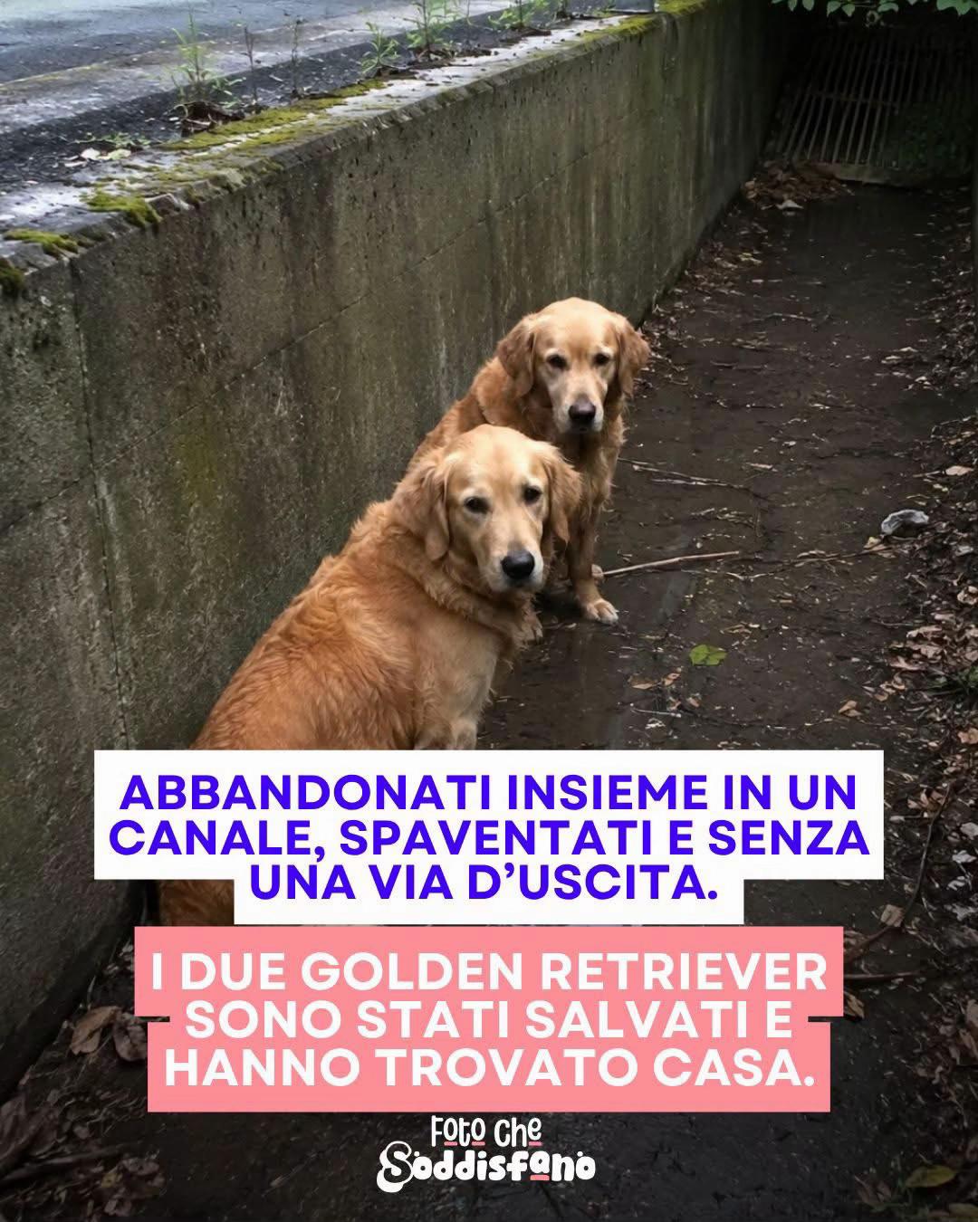@Antonio Dimichele