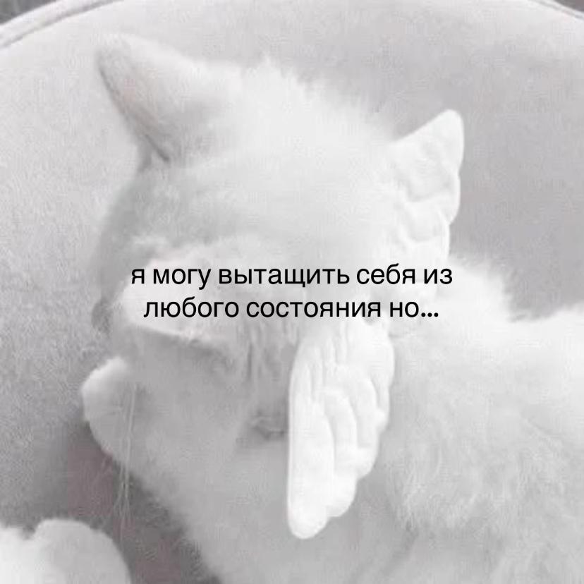 @𝑺𝒂𝒗𝒂𝒌𝒐🪽ྀི