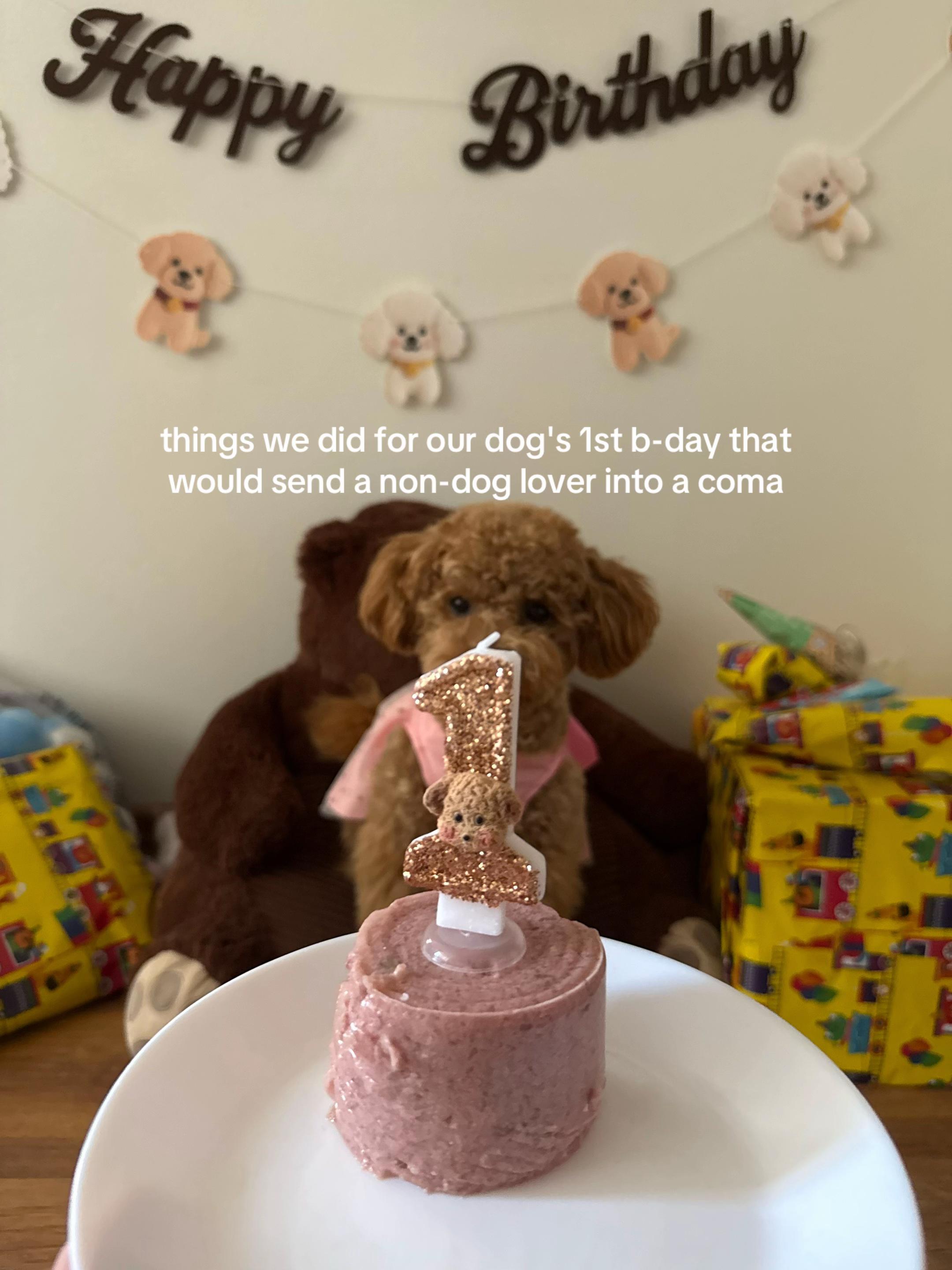@Malibu Maltipoo 🎀