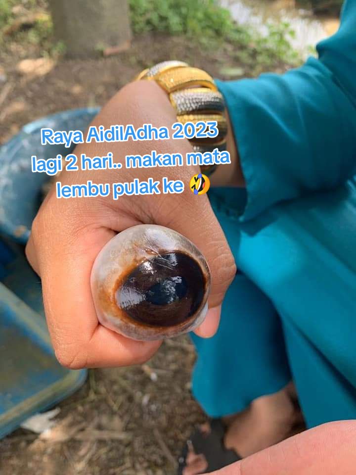 @Mamy Aish