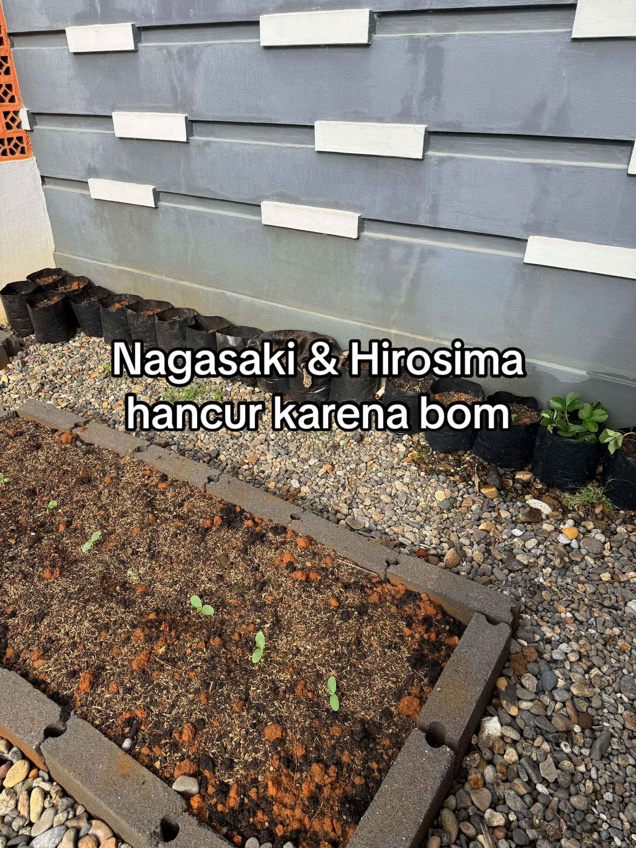 @KucingGBK
