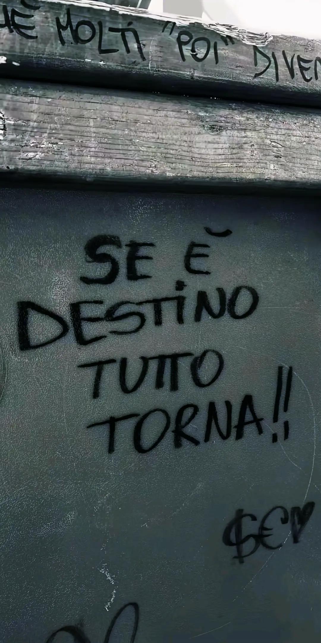 @fedd