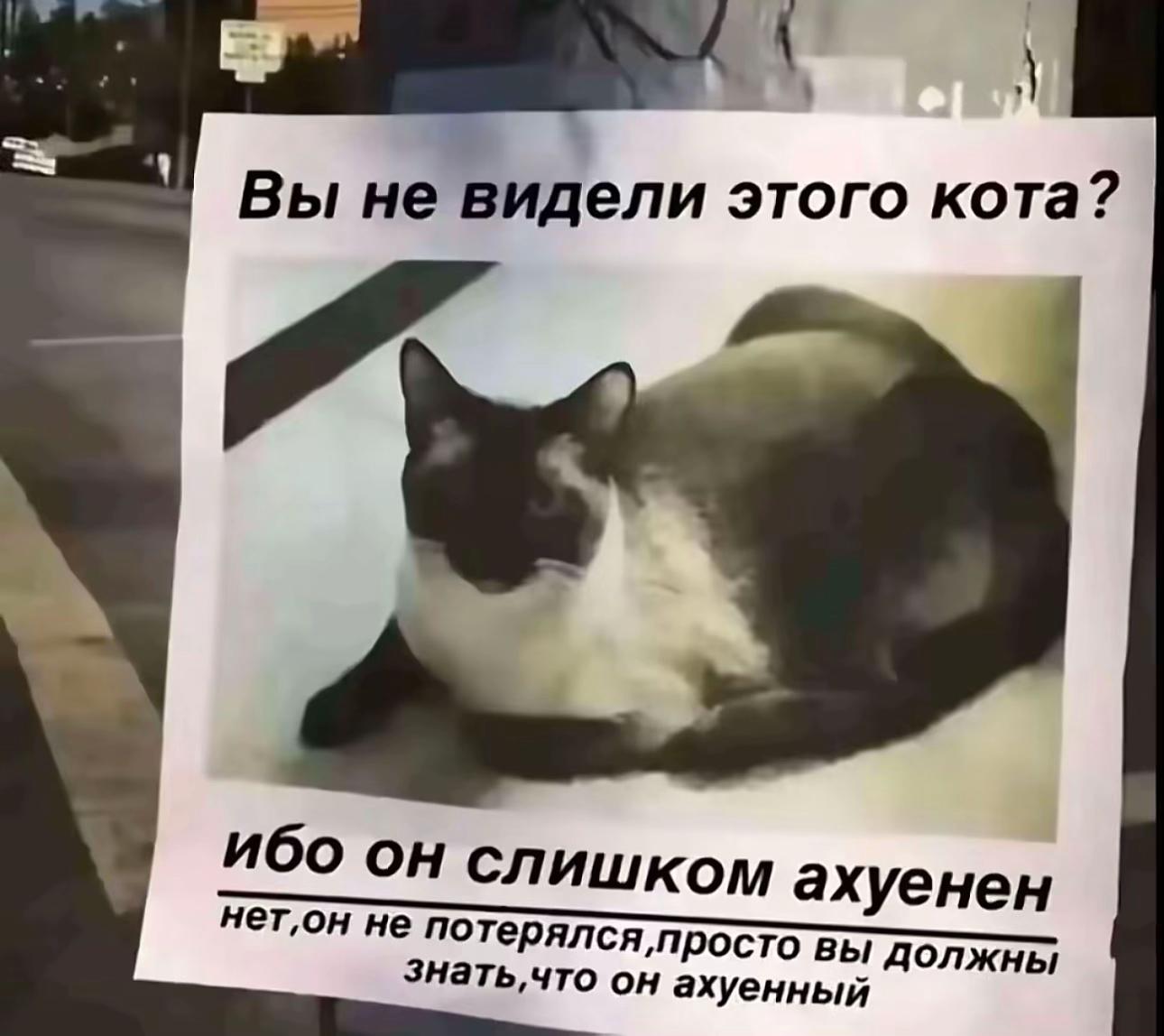 @558
