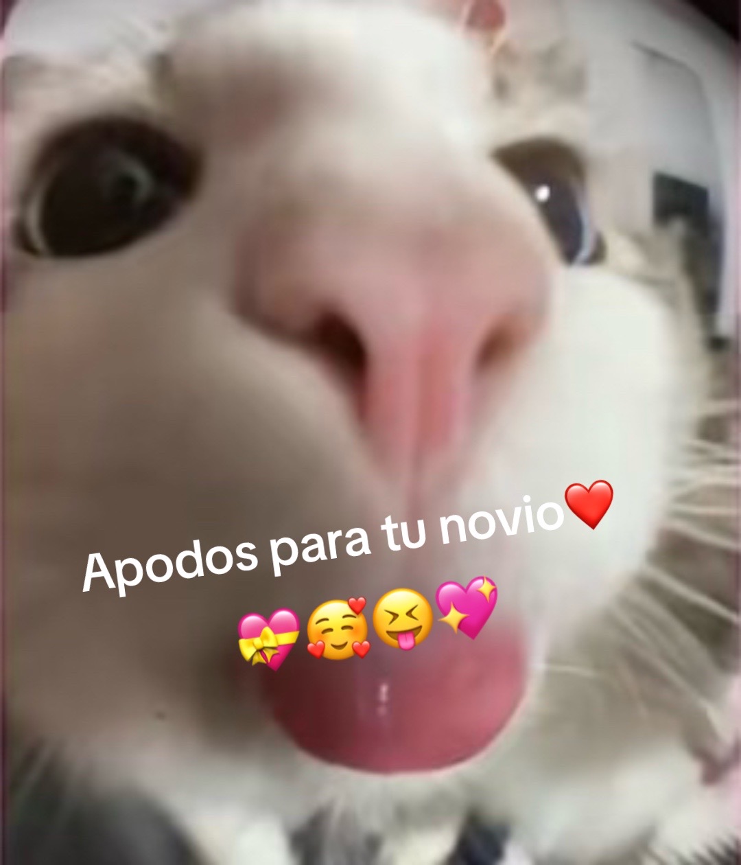 @CHURITOS🤓Jessy 😝😝😝