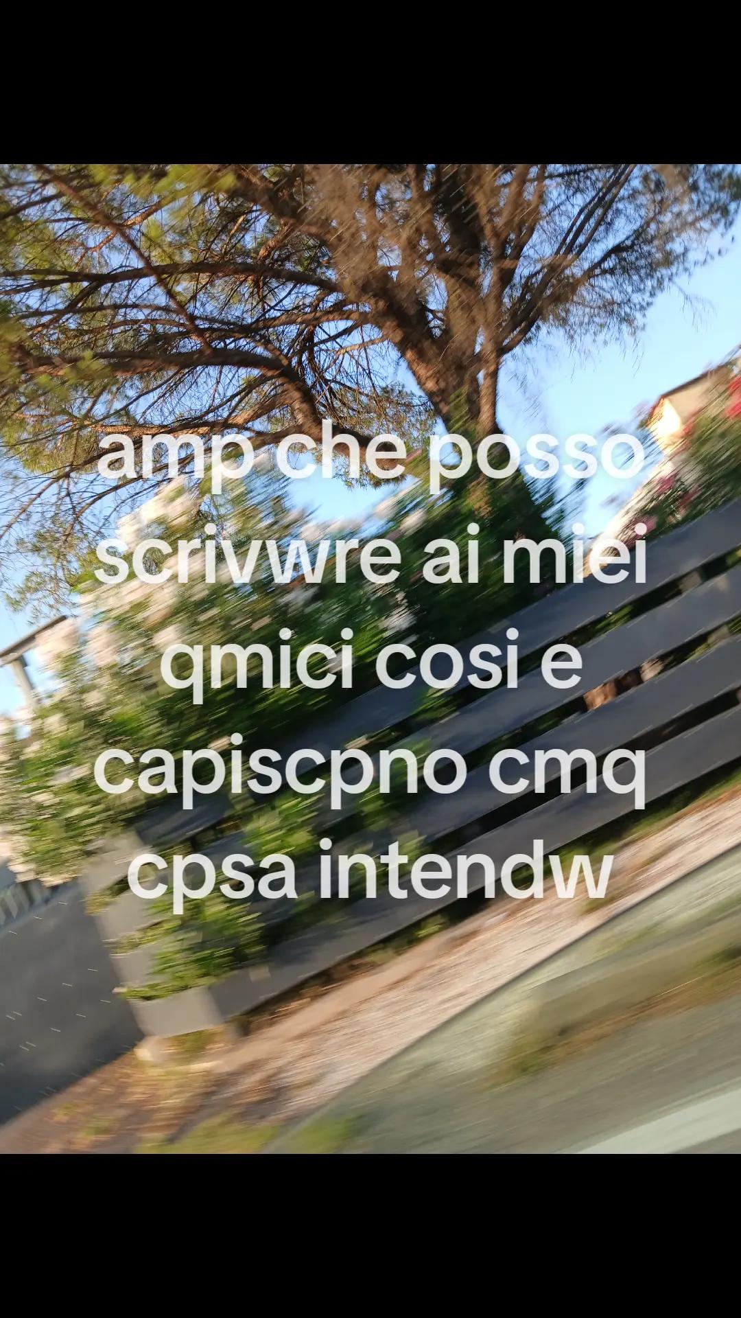 @~I🌴
