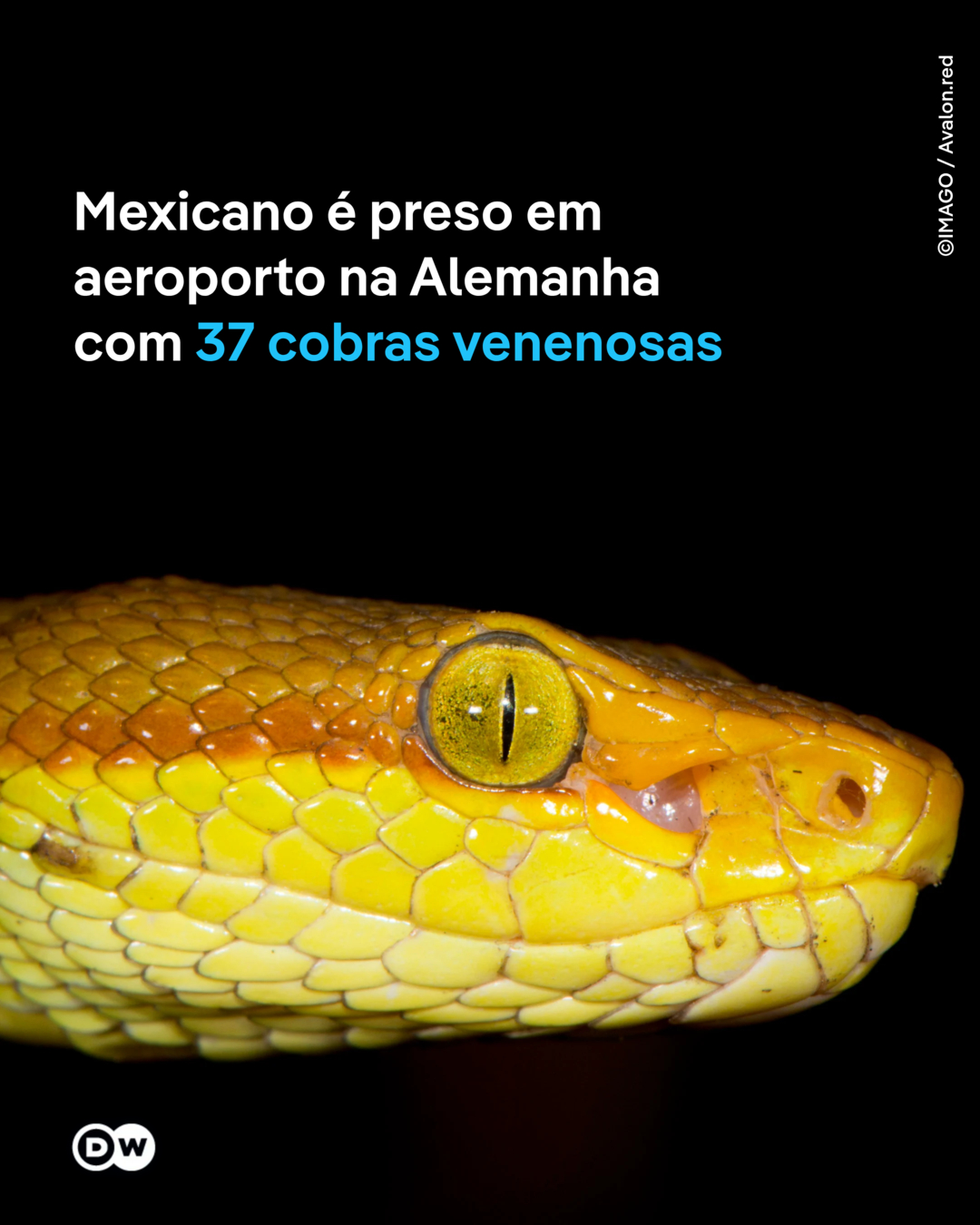@DW Brasil