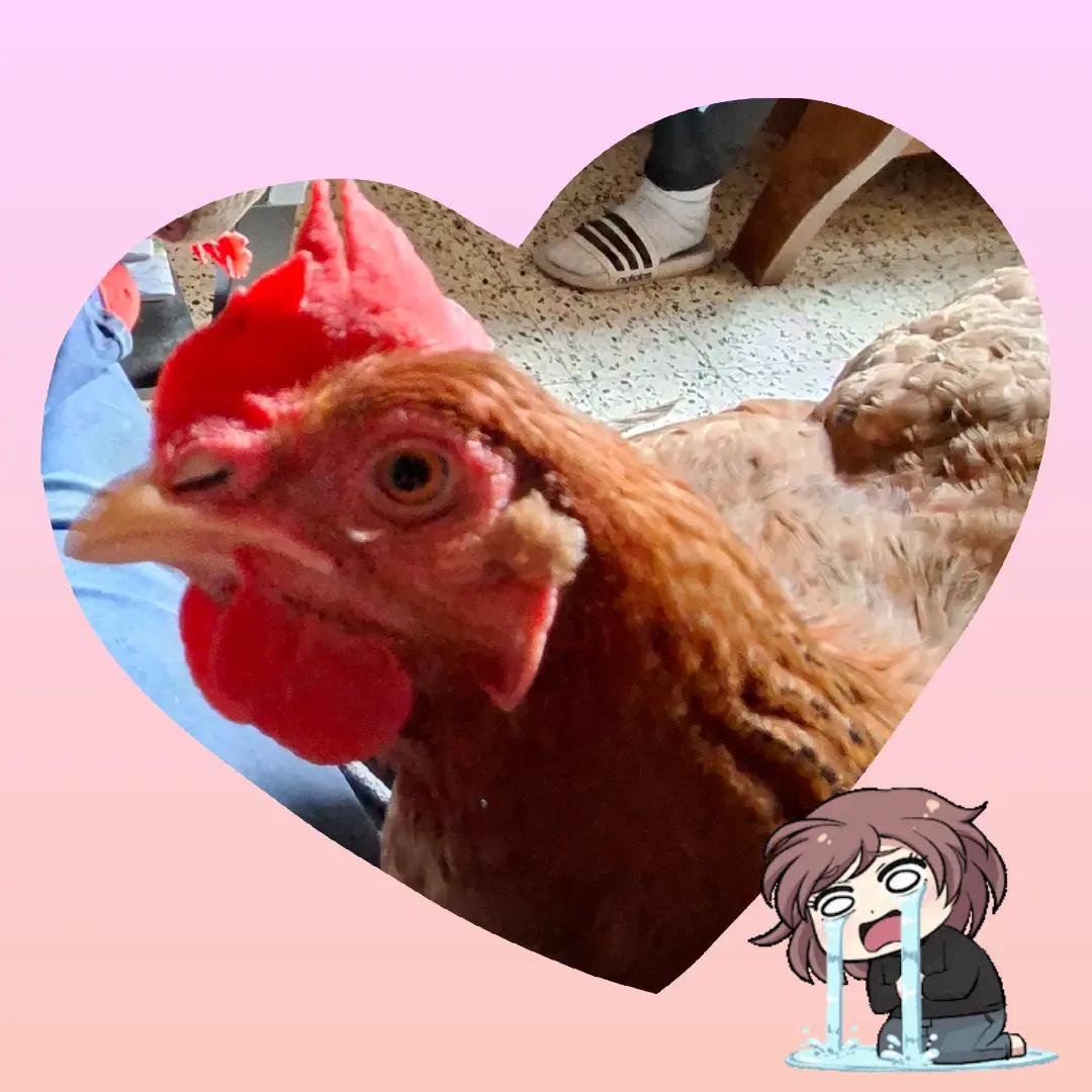 @CicyGm