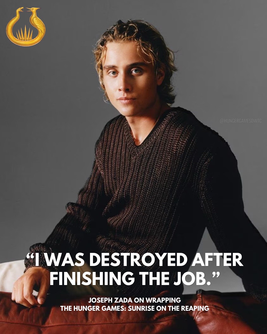 @HungerGamesDWTC