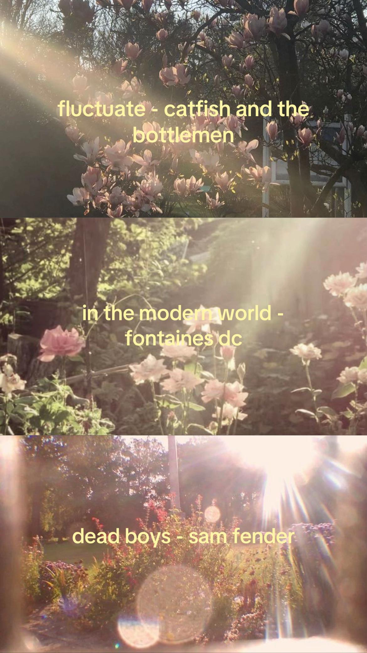 @๐ถ๐๐ฝ®๐น๐