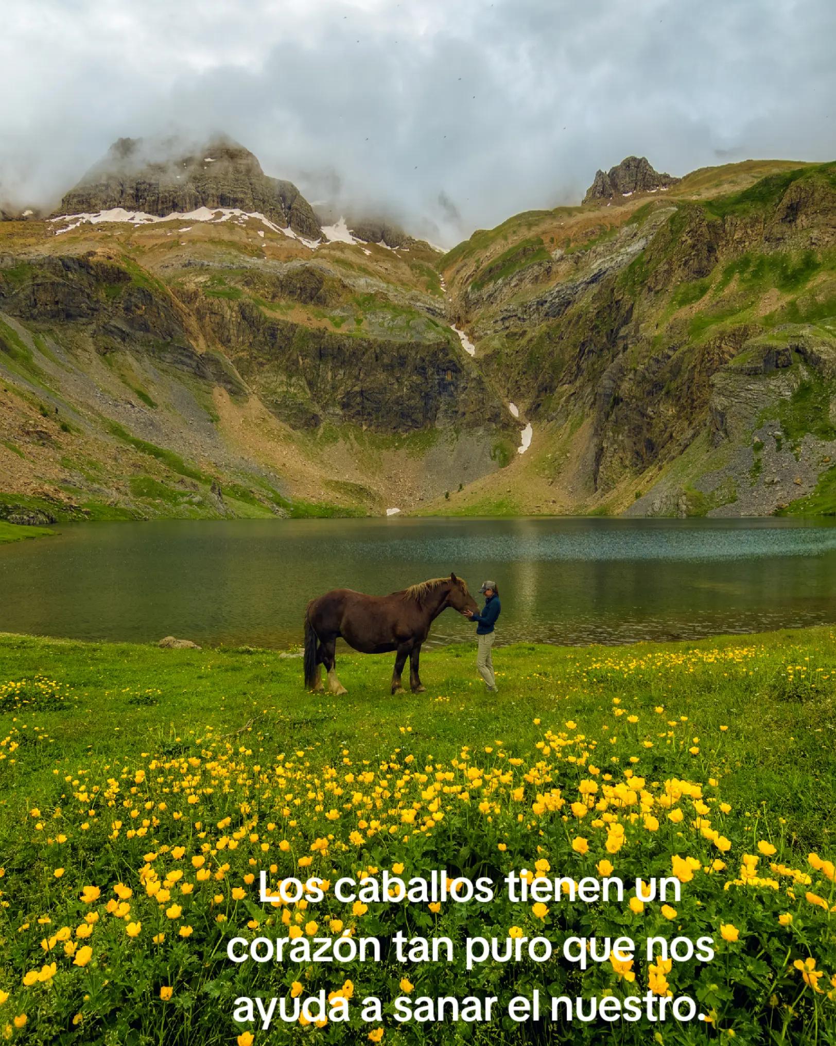 @⛰️iRiis⛰️