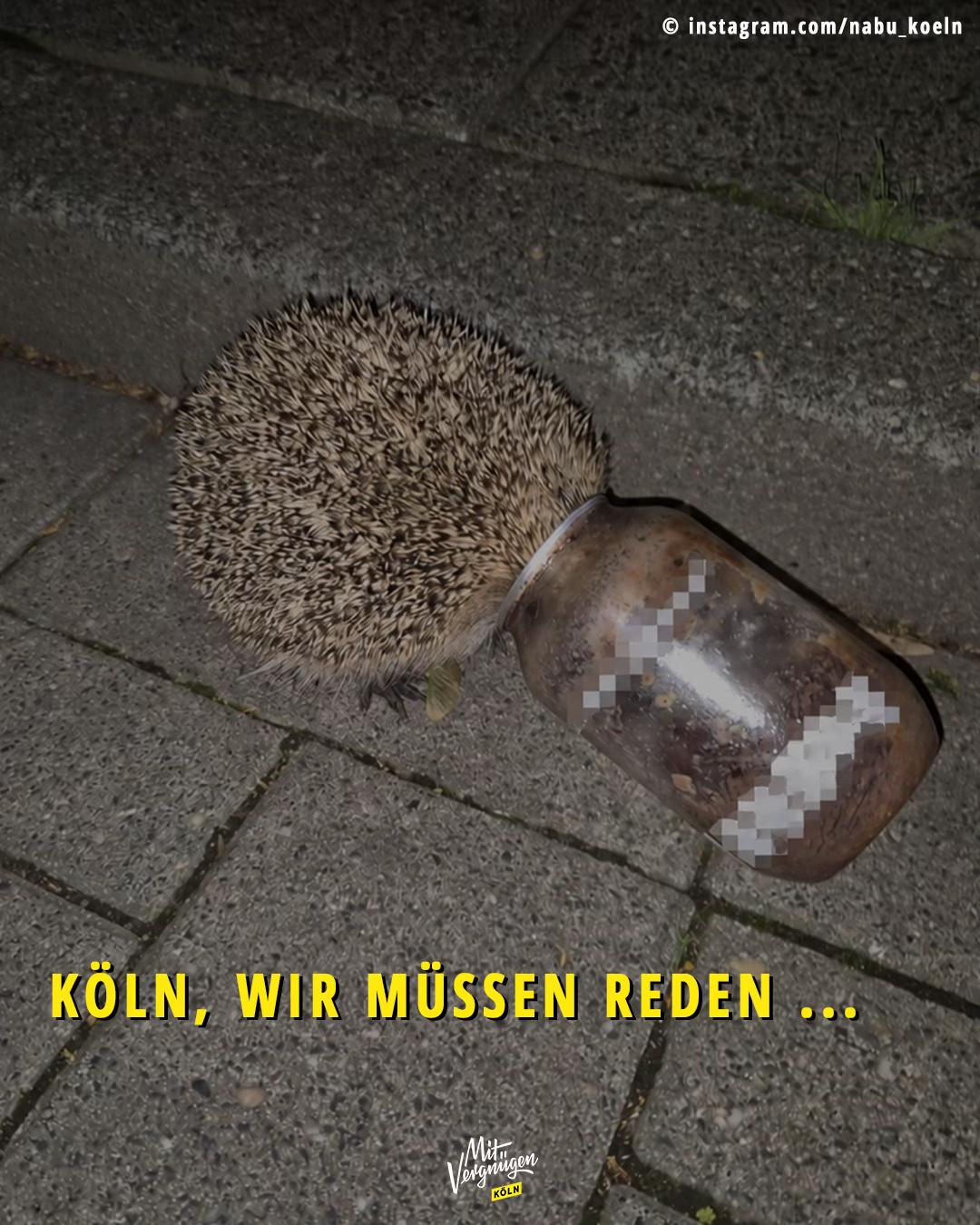 @Mit Vergnügen Köln