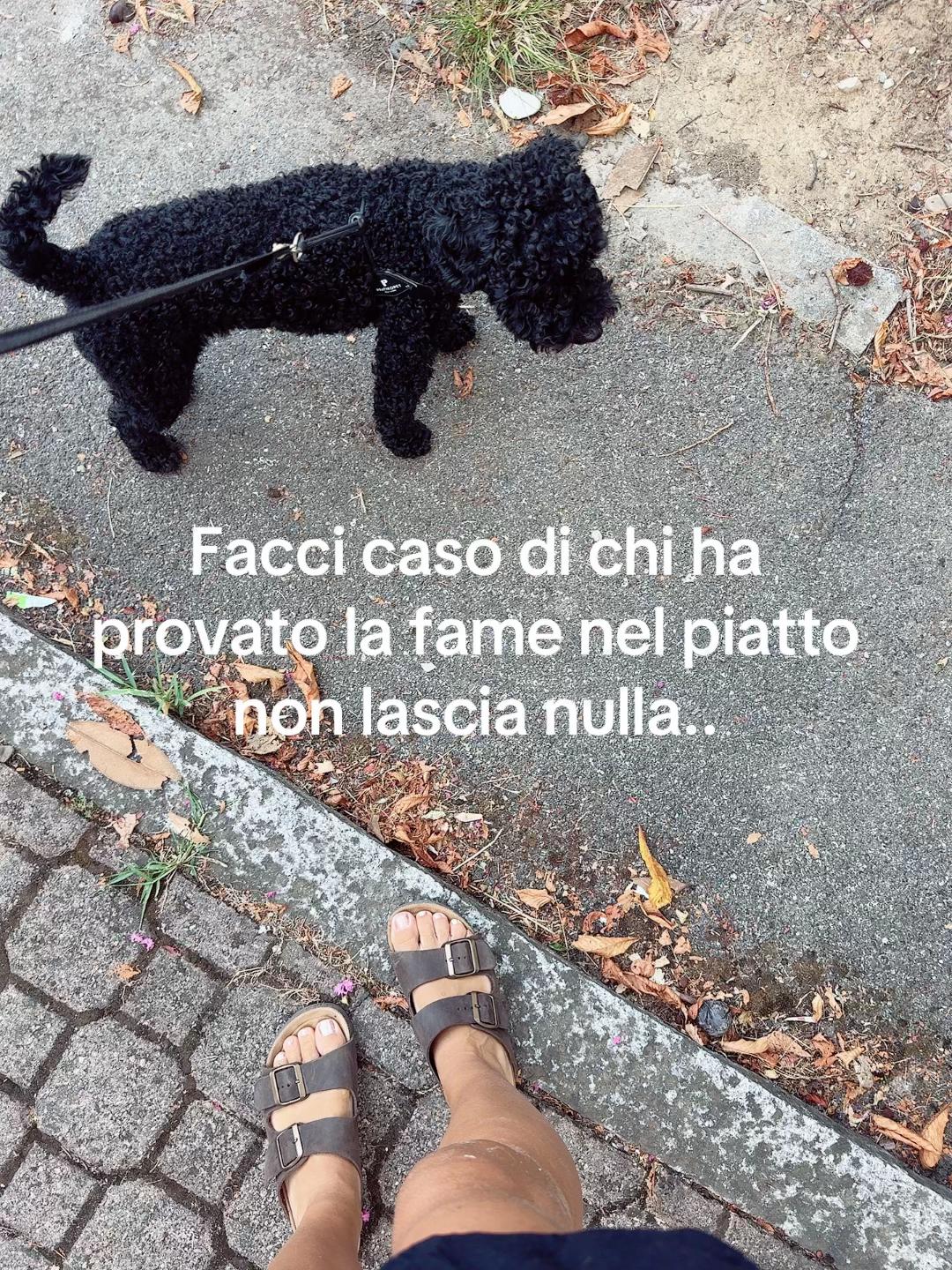 @catrin.yorki🖤🐶🌈🏳️&zwj;🌈💜