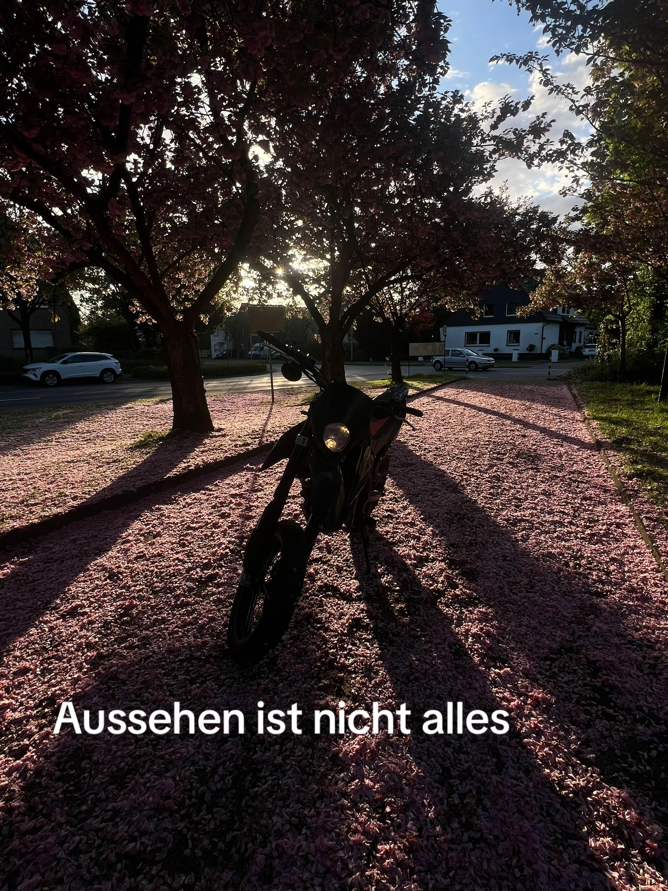 @𝟙𝟡𝟘𝟚