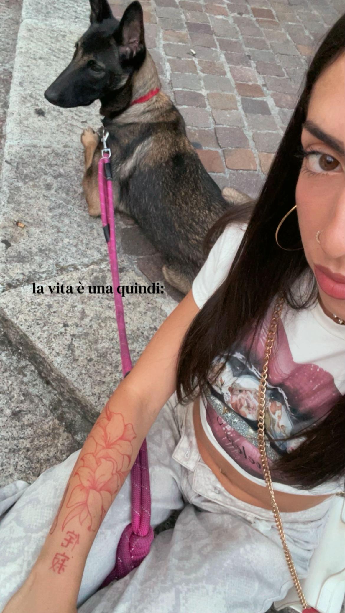 @gaiax.arenax