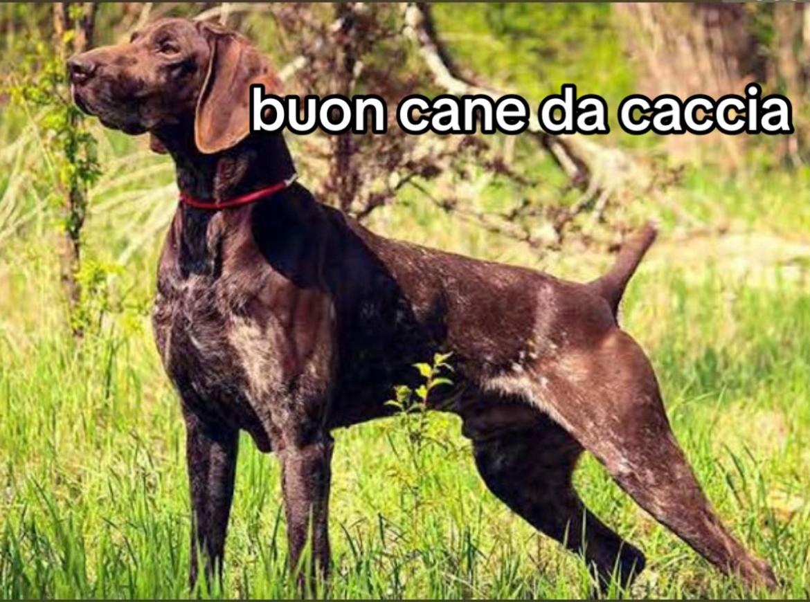 @𝓪𝓷𝓰𝓮
