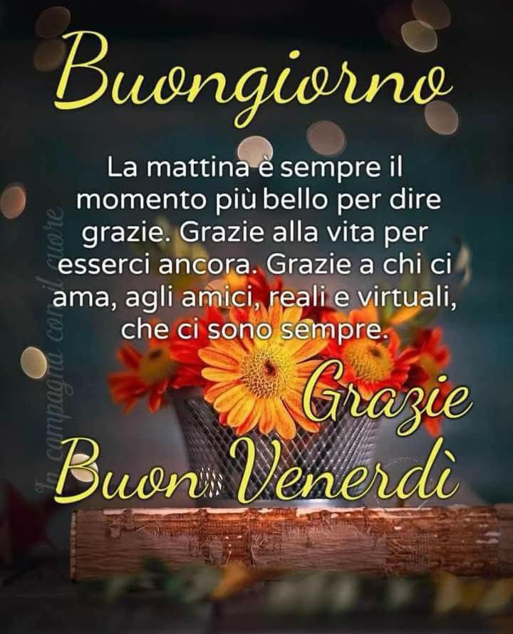 @Silvia Masci