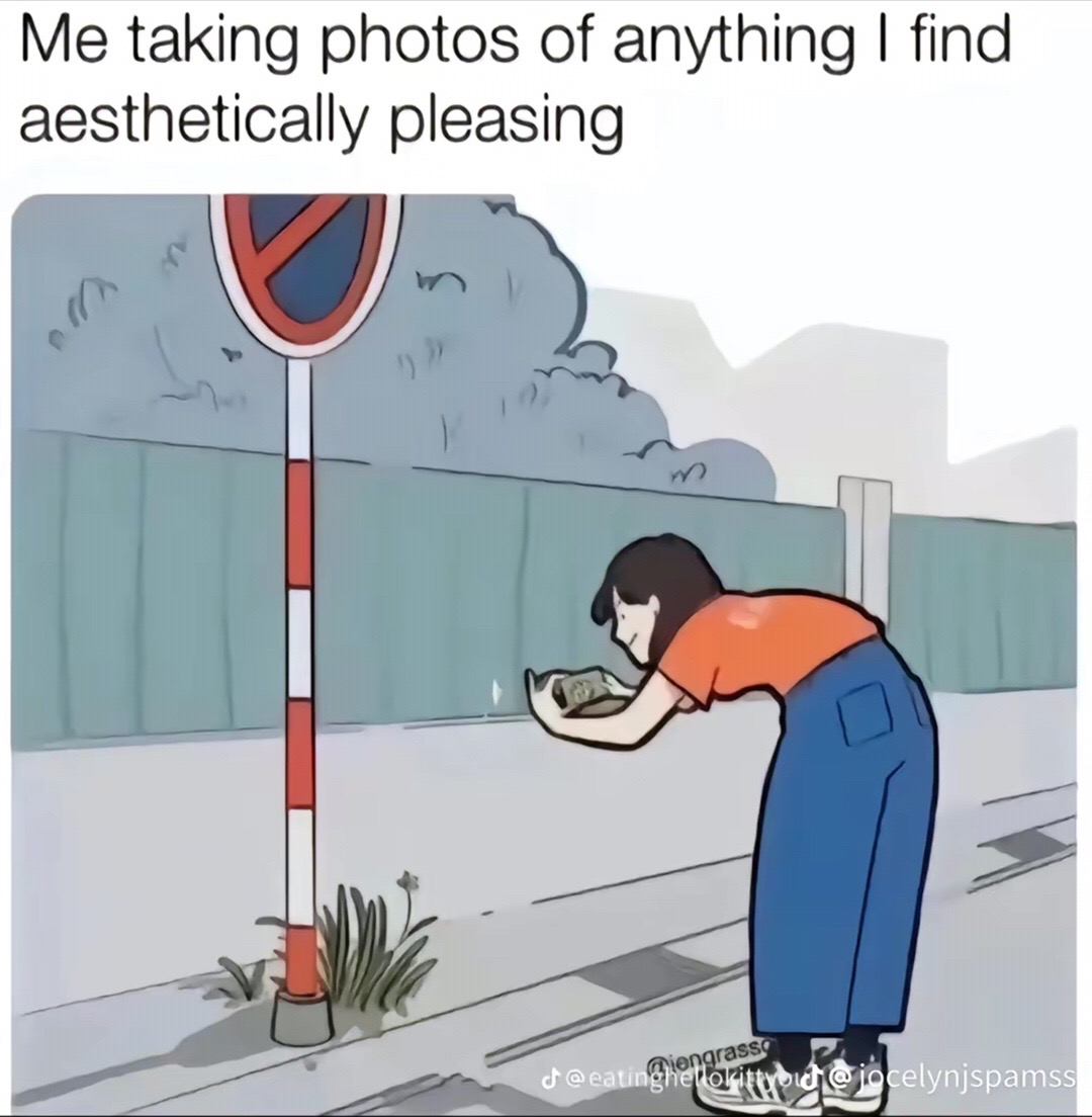 @Pom🇰🇵