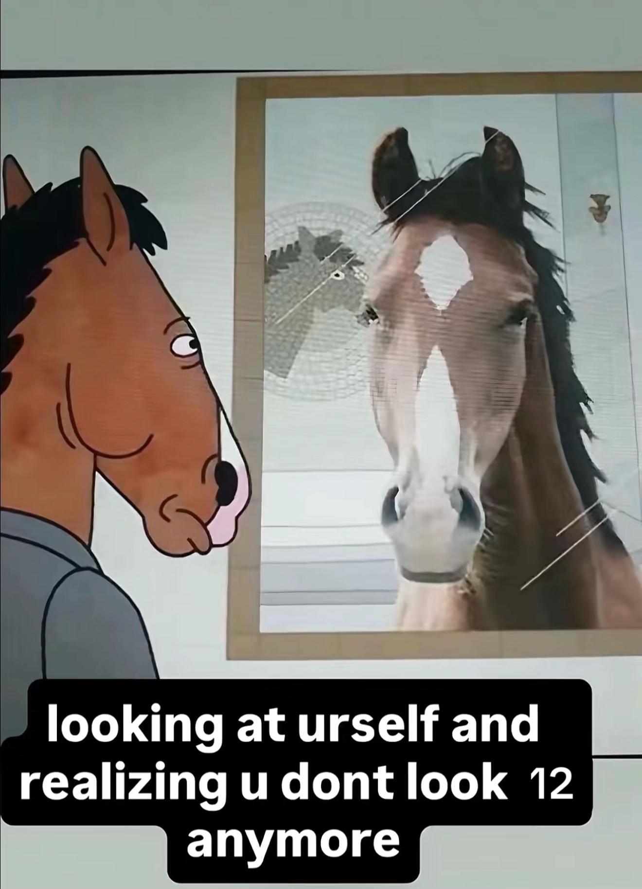 @anna