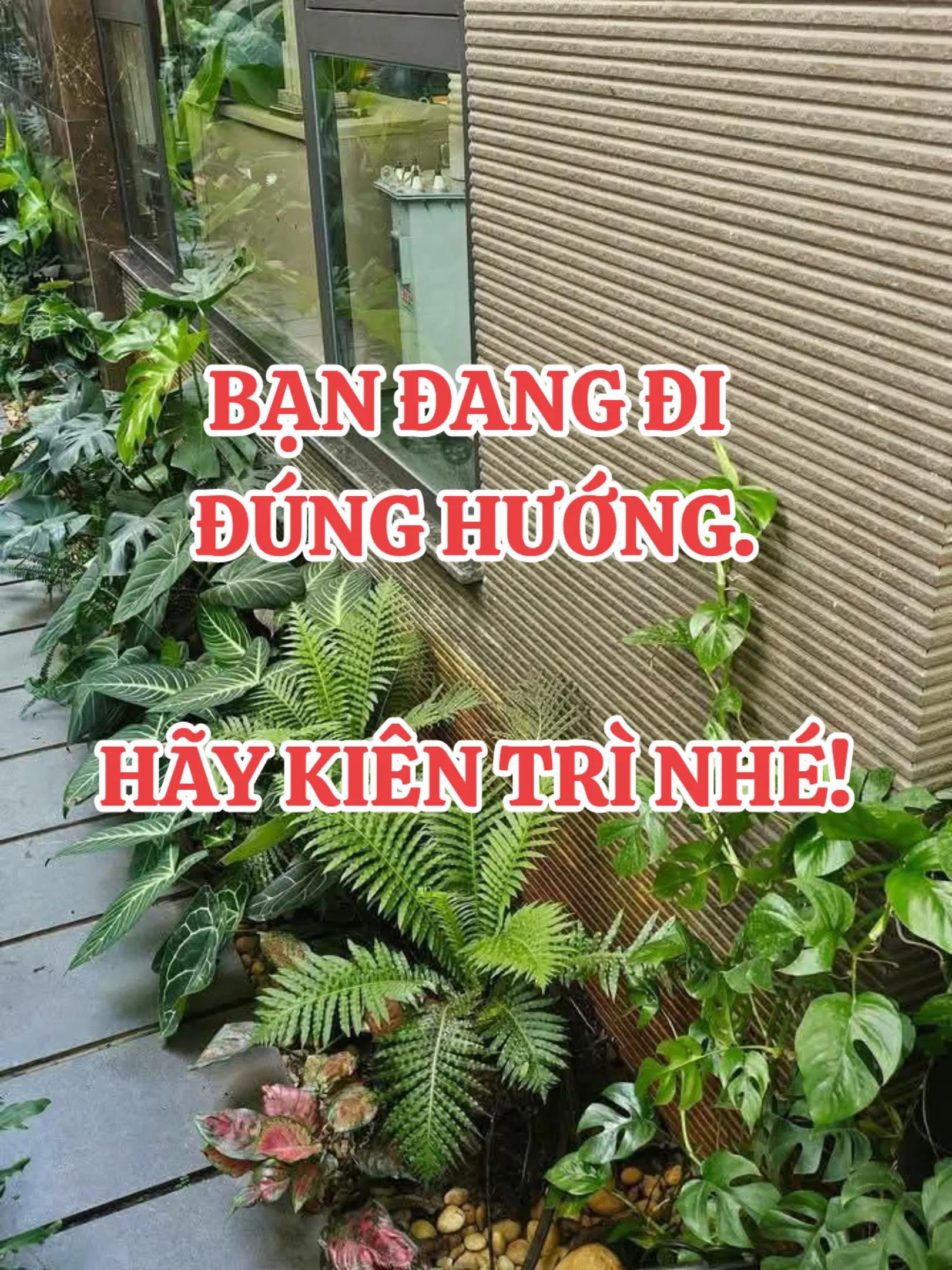 @HẢI TRUNG KIM.