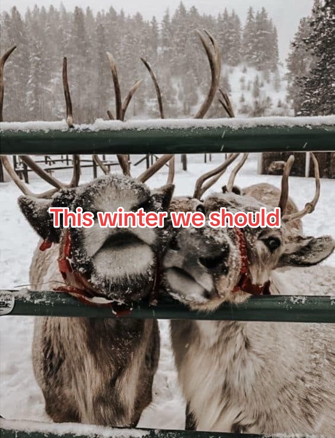 @sofestiveseaons