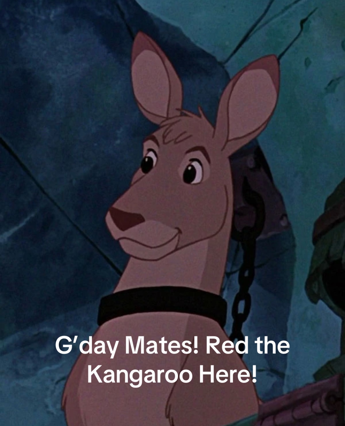@RedTheKangaroo