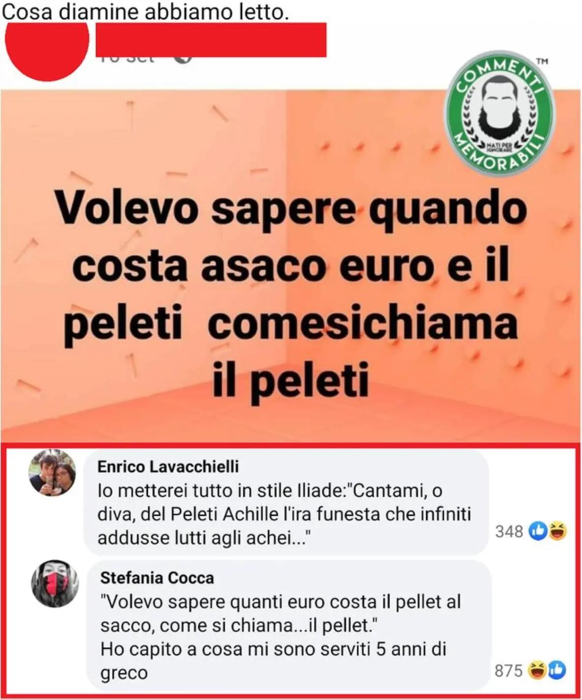 @Silvana Colombarolli