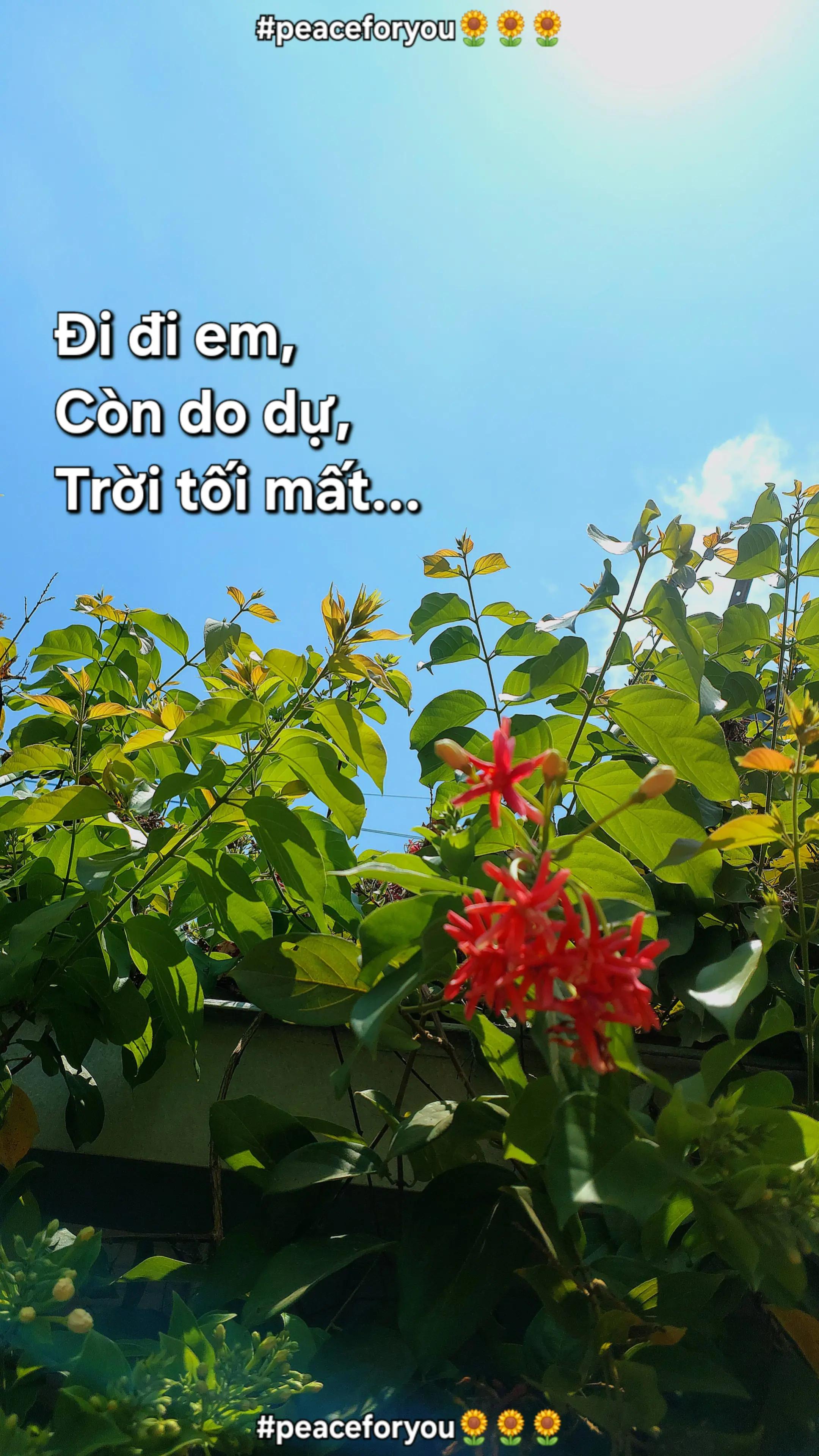 @peaceforyou🌻🌻🌻