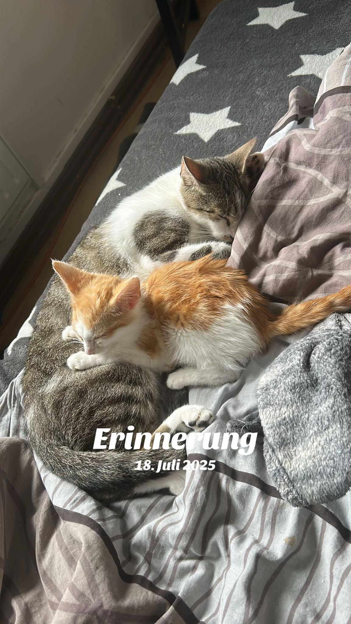 @mx_rxa