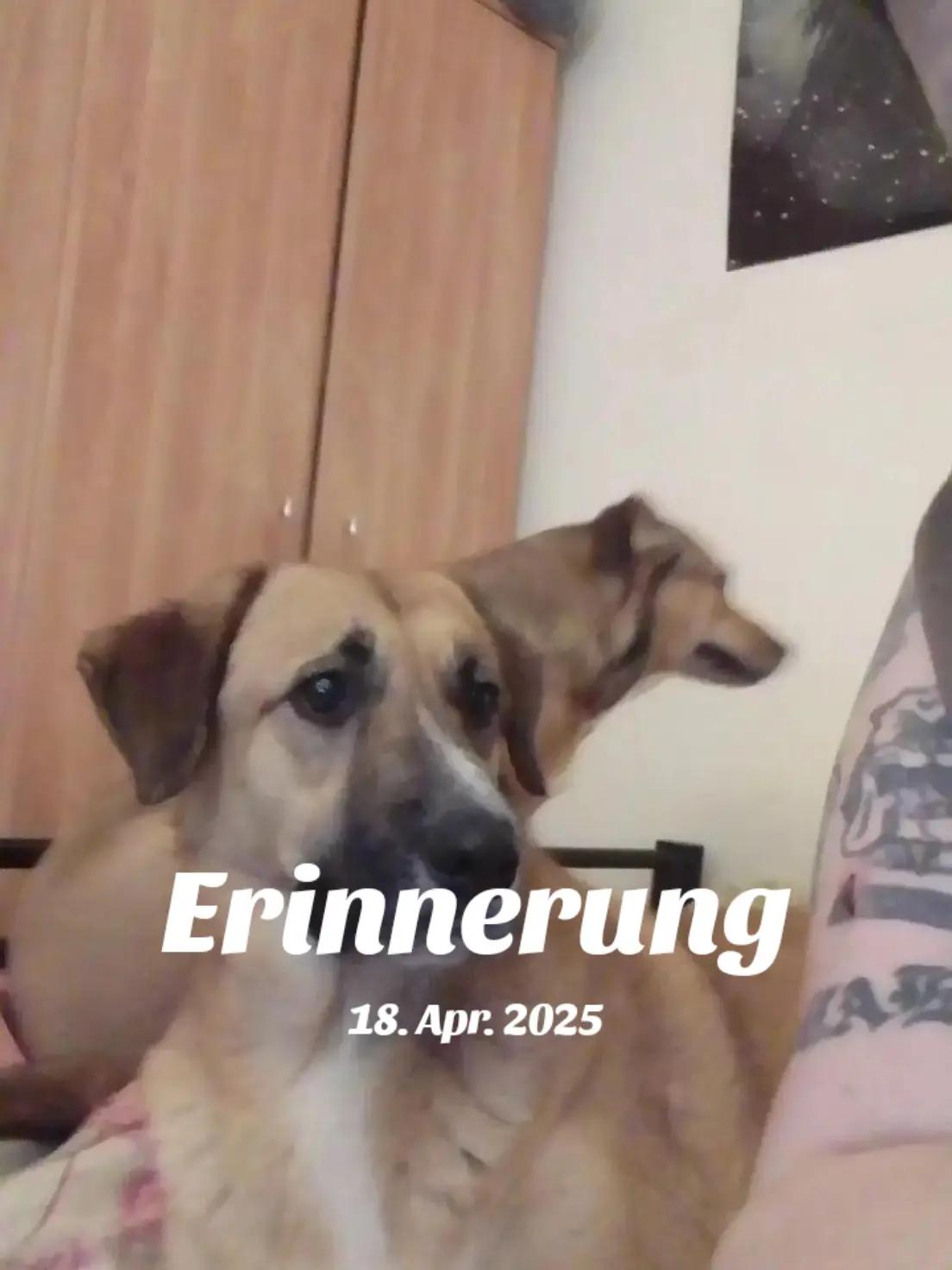 @💀💀DasBöse💀💀