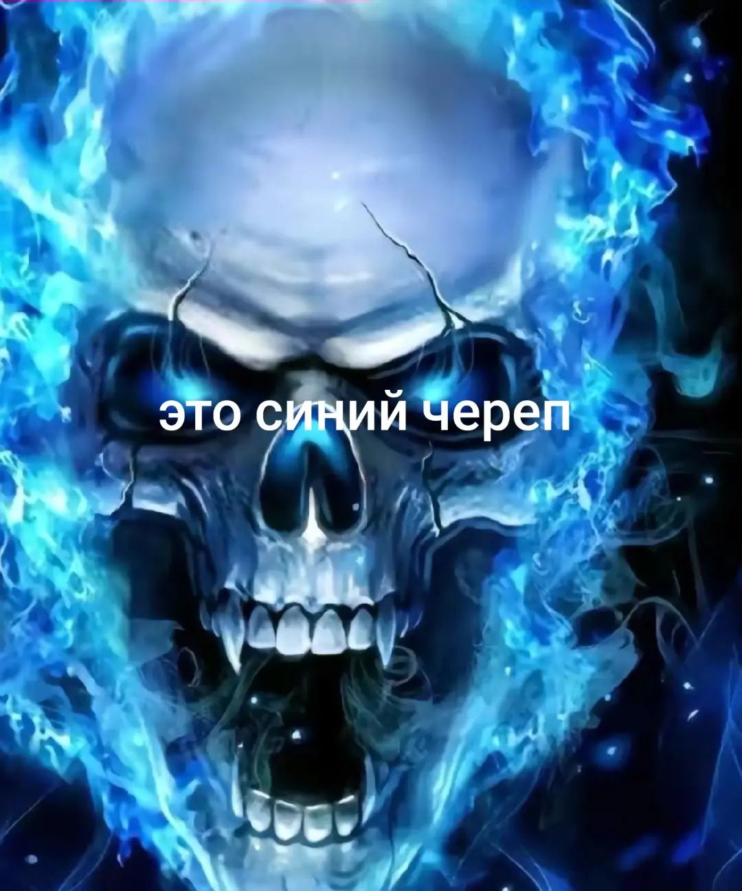 @для зароботка в тг: SHARD