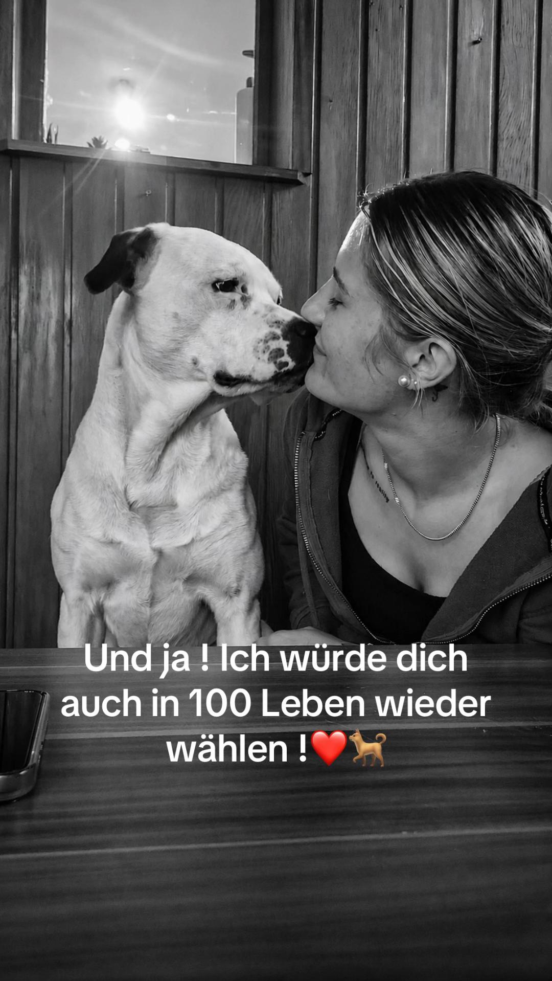 @🎱
