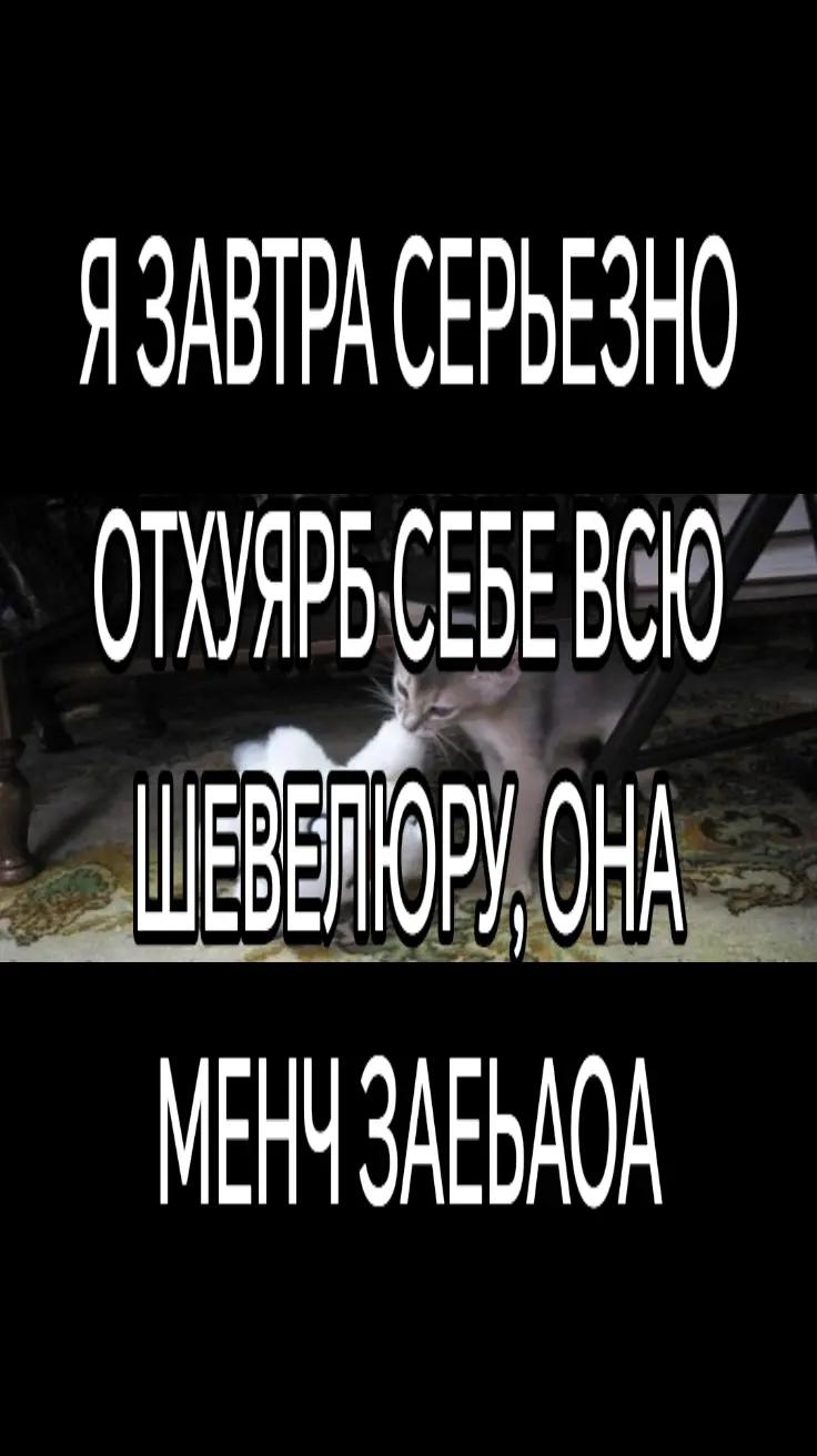 @Ⲗⲩⳡυⲕ(^ω^)#Эⲗⲗυⲟⲧⲁ_ⲗⲉⳝⲗю|🍖🌈