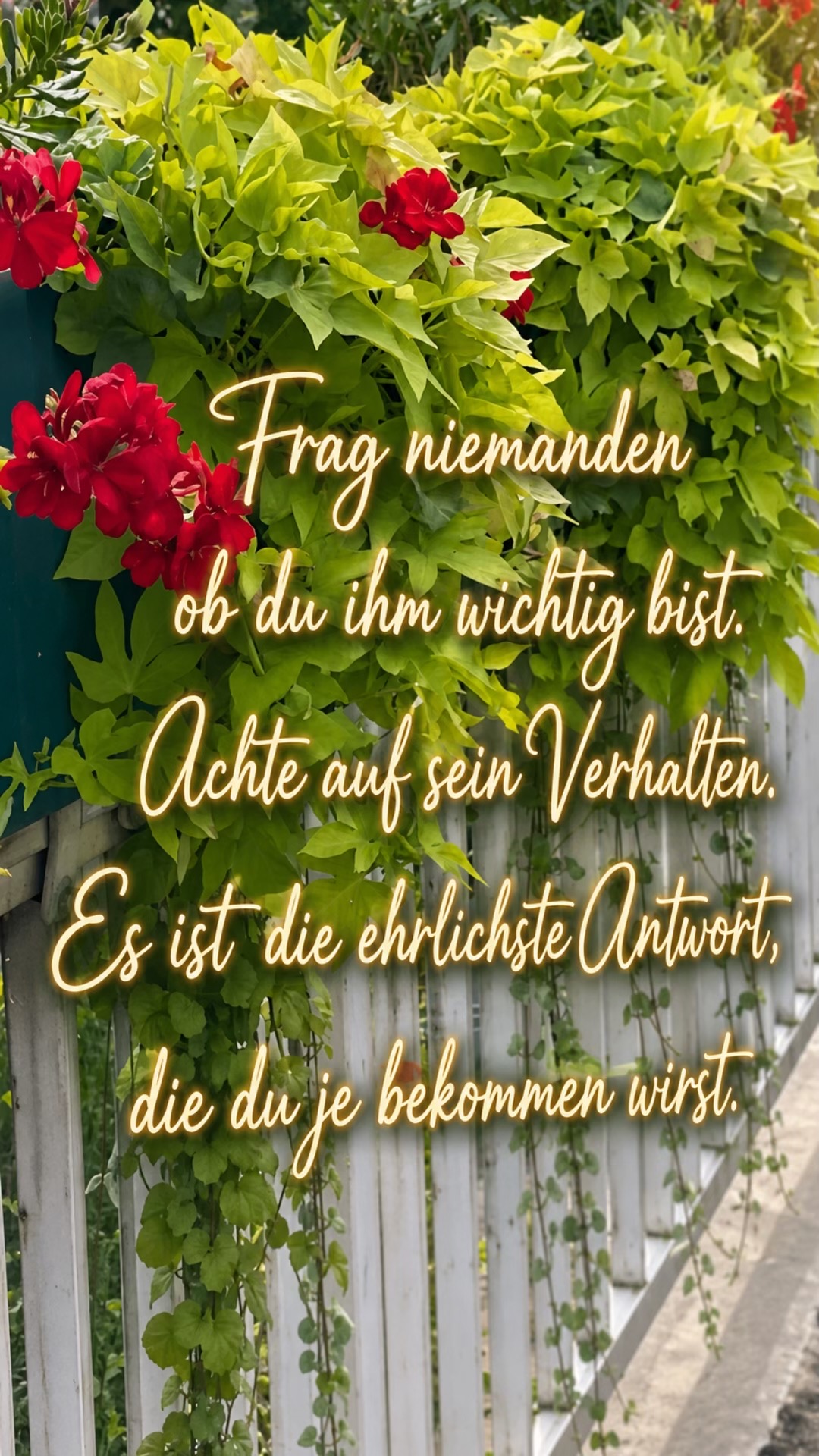 @saarlaenderin