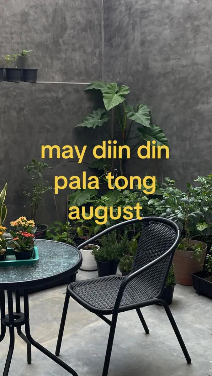 @Arxie