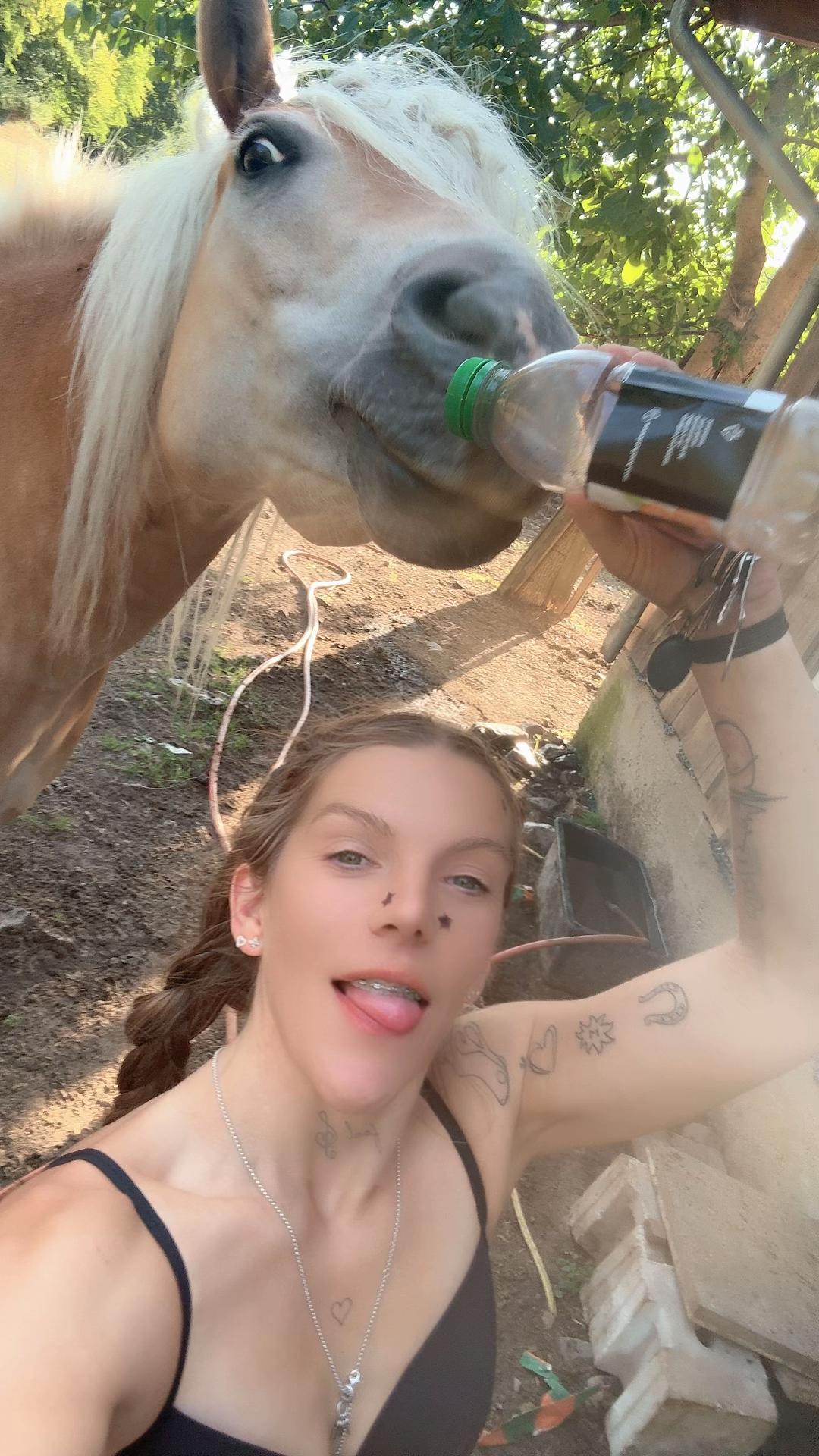 @HafiHorse2