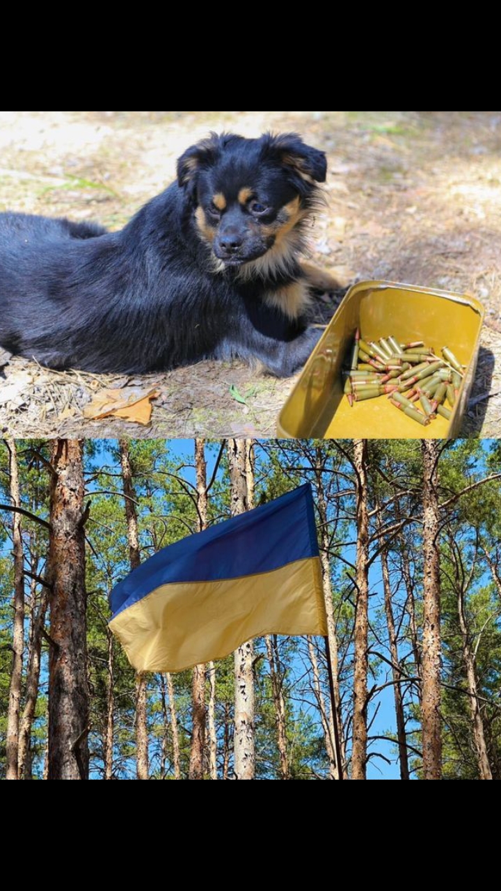 @Марія Винниченко