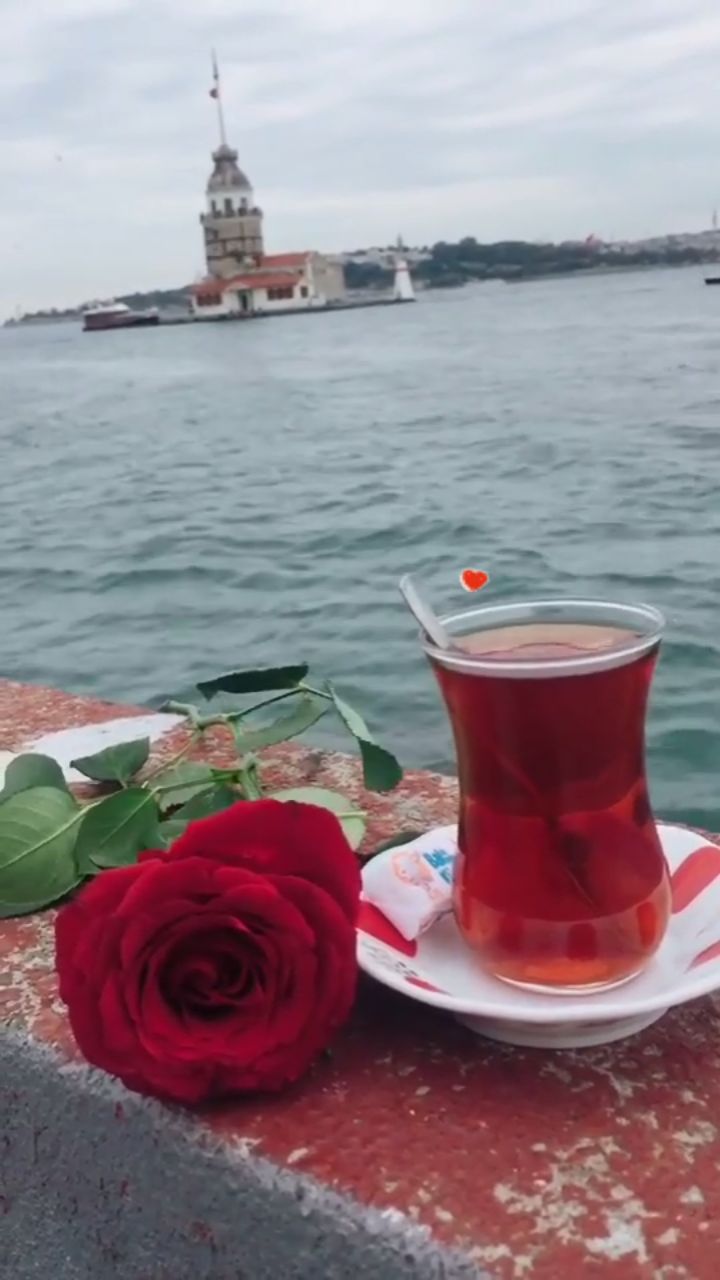 @Yasin Taşkıran