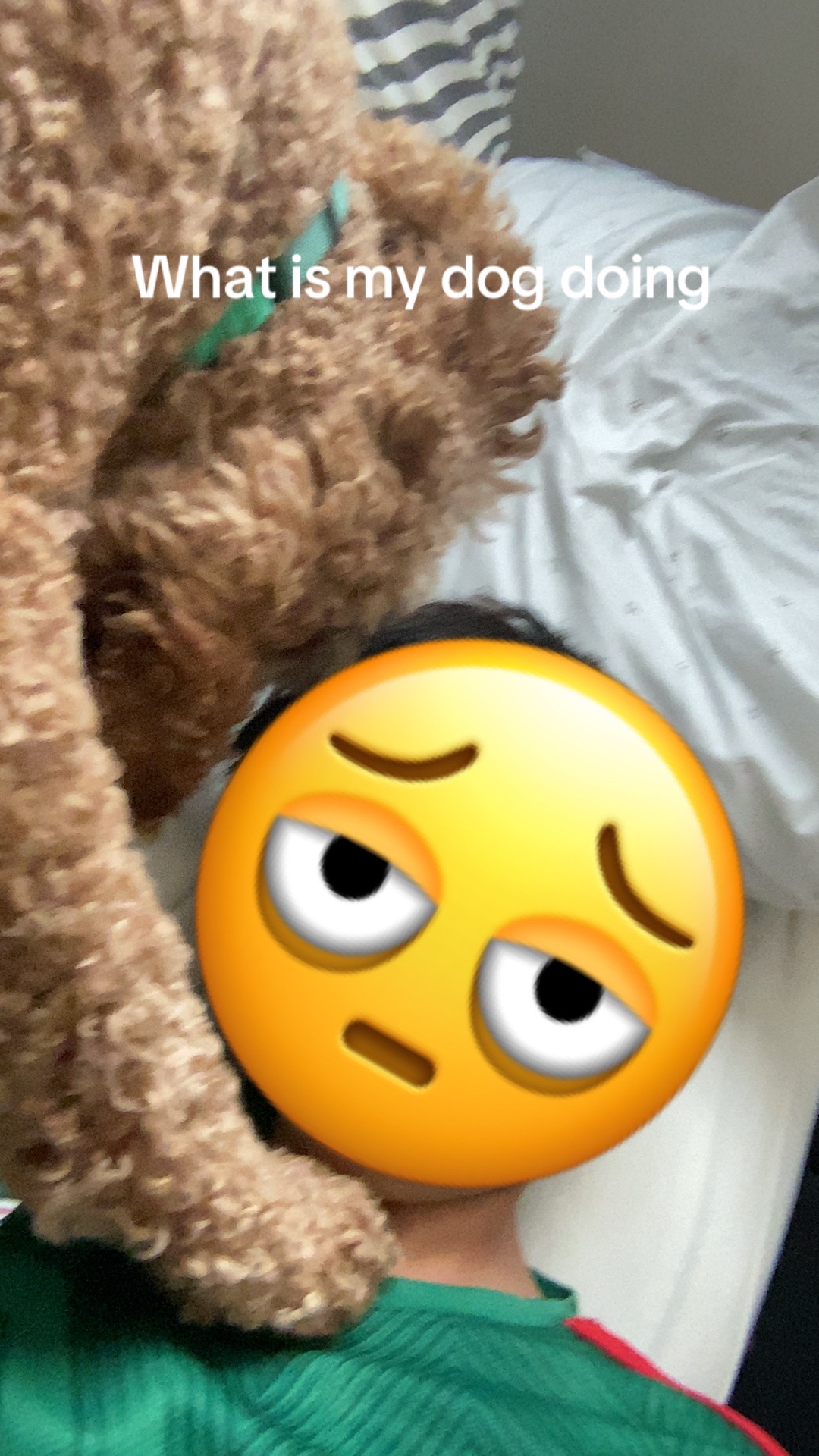 @Messi.vrfs2006